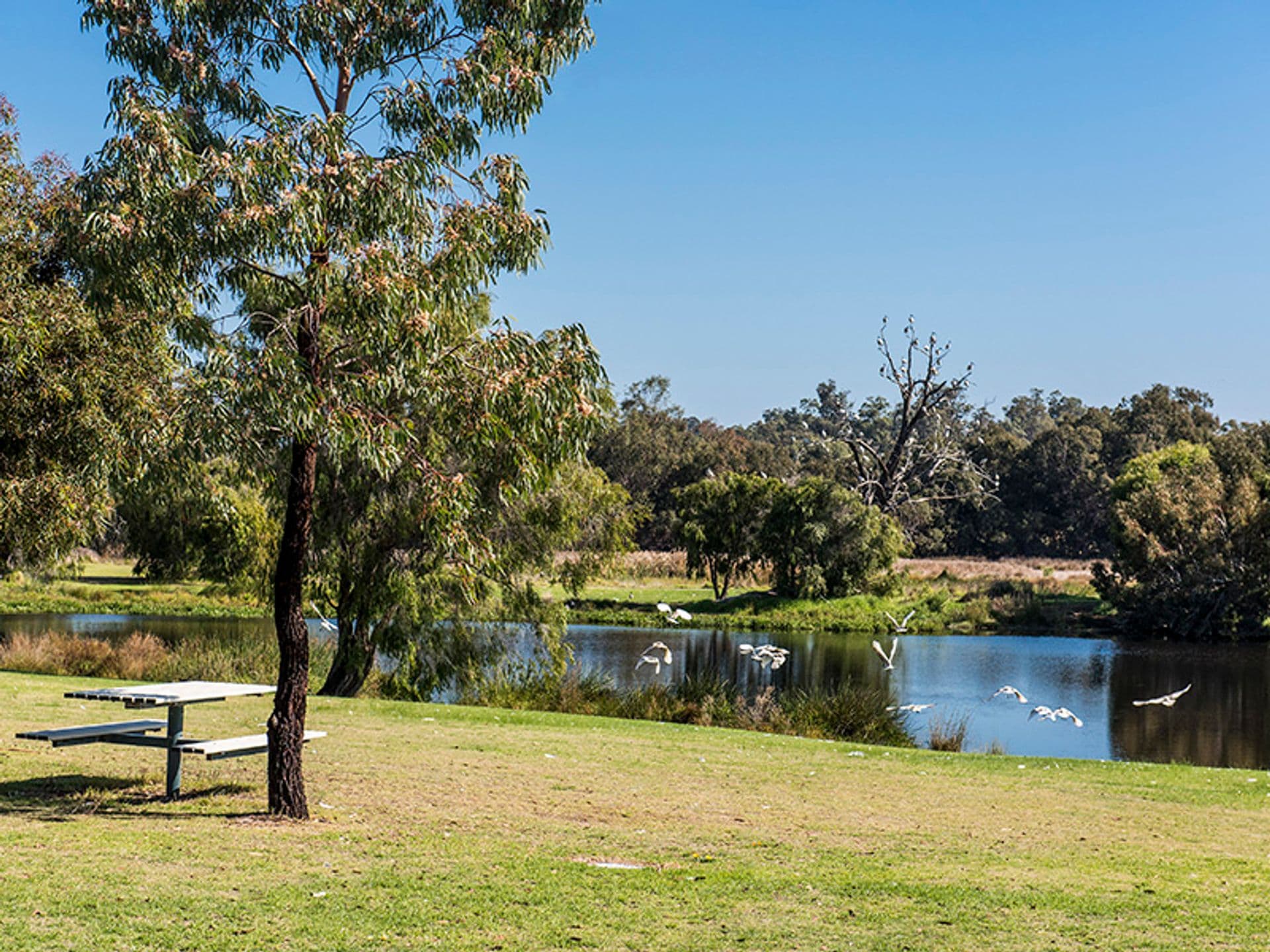 37/23 Casuarina Drive, Bunbury, WA, 6230, Australind - Image 1