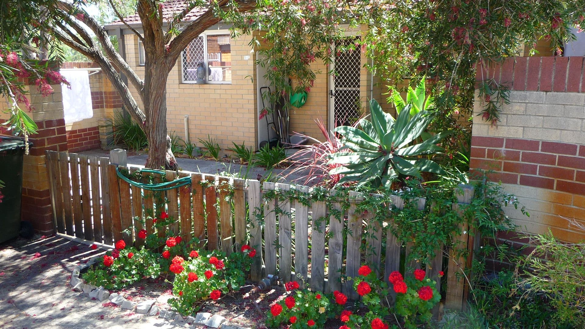 37/23 Casuarina Drive, Bunbury, WA, 6230, Withers - Thumbnail 7
