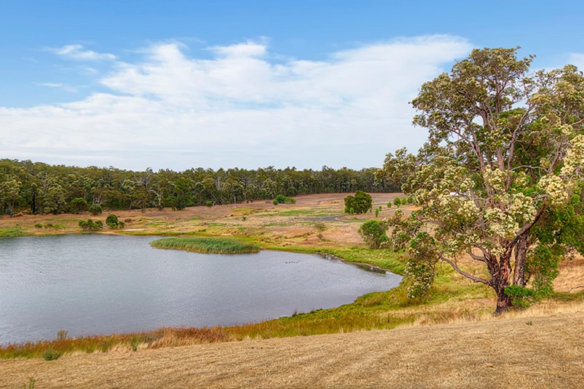 37/23 Casuarina Drive, Bunbury, WA, 6230, Bridgetown - Thumbnail 5