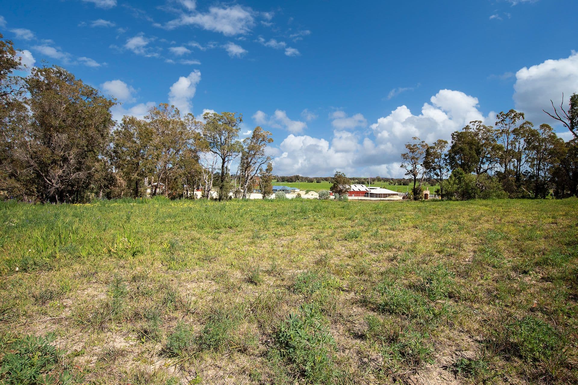 18 School Road, Yarloop, WA, 6218, Yarloop - Thumbnail 7