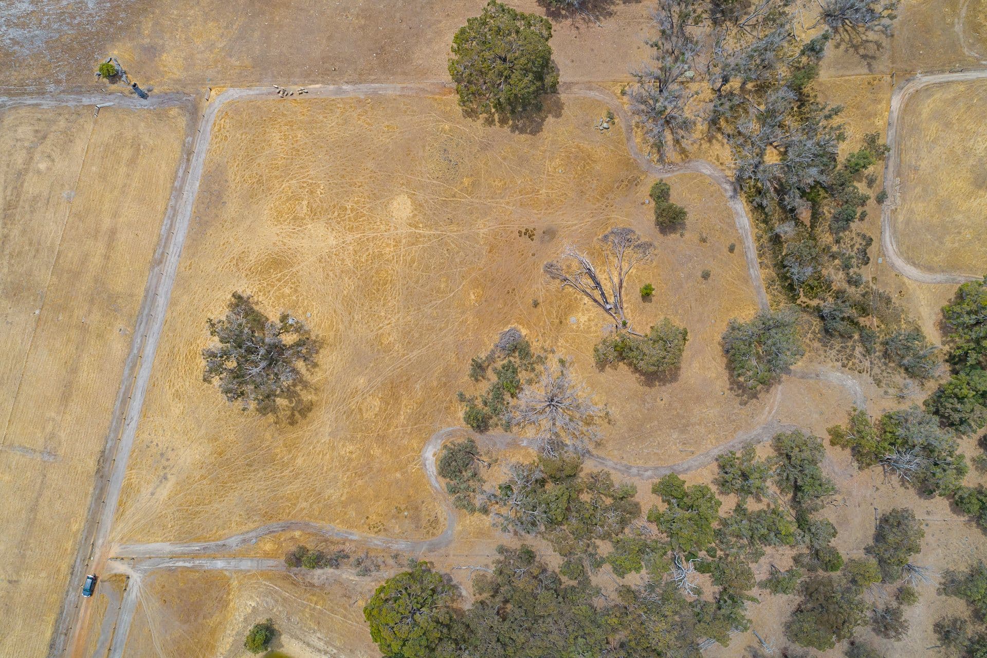 37/23 Casuarina Drive, Bunbury, WA, 6230, Boyup Brook - Thumbnail 5