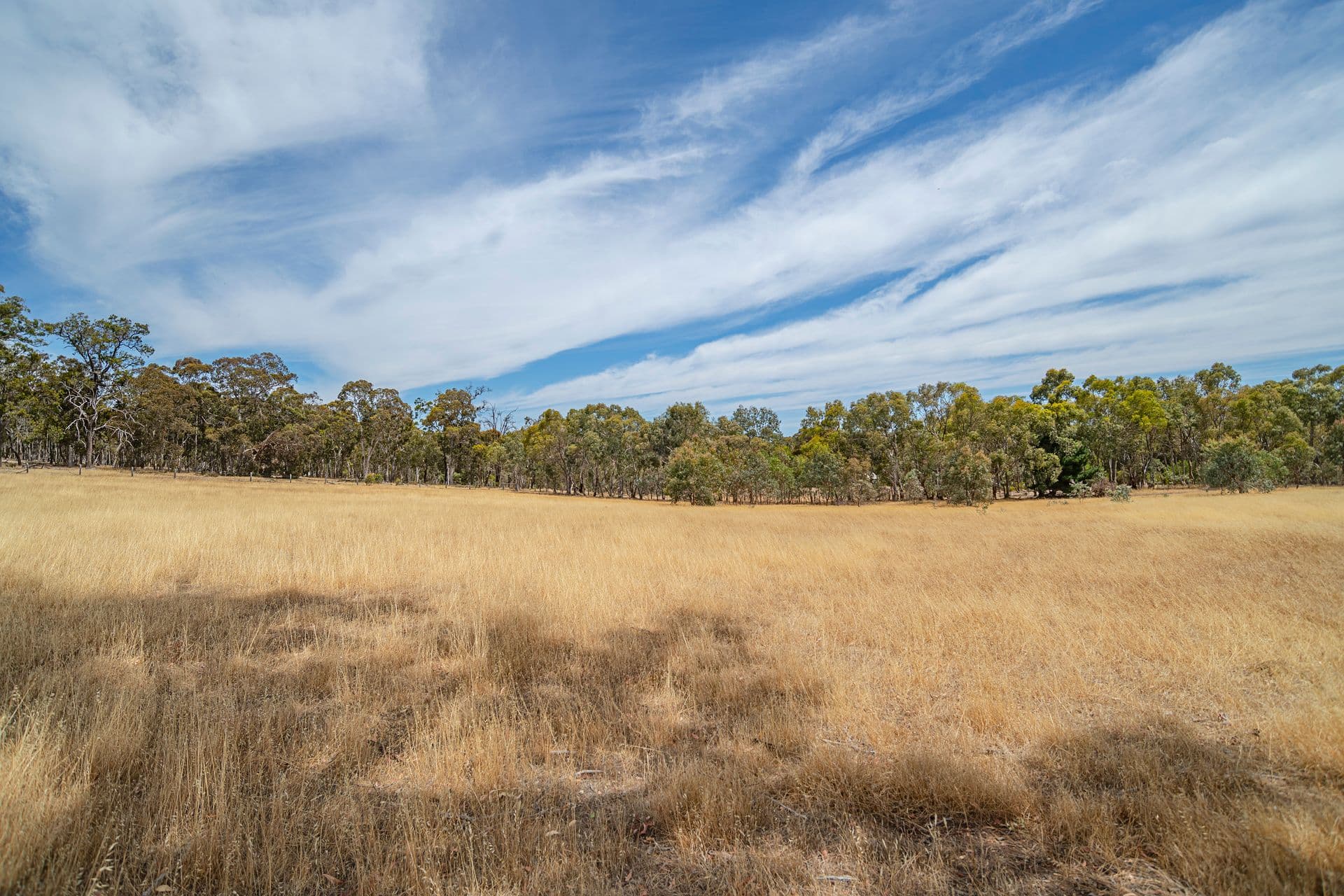 85 Ridge View Avenue, Boyup Brook, WA, 6244, Boyup Brook - Thumbnail 6