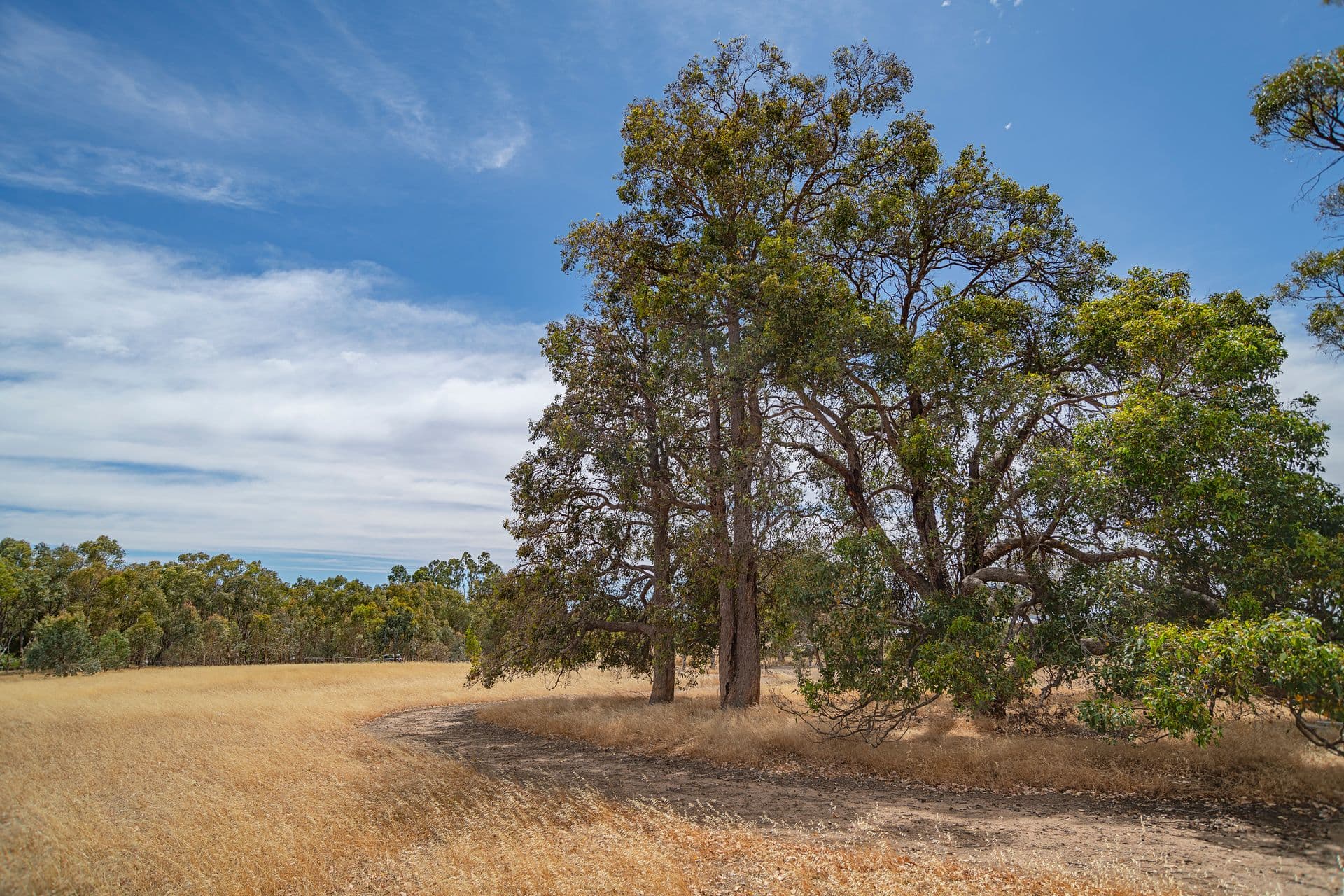 85 Ridge View Avenue, Boyup Brook, WA, 6244, Boyup Brook - Thumbnail 7