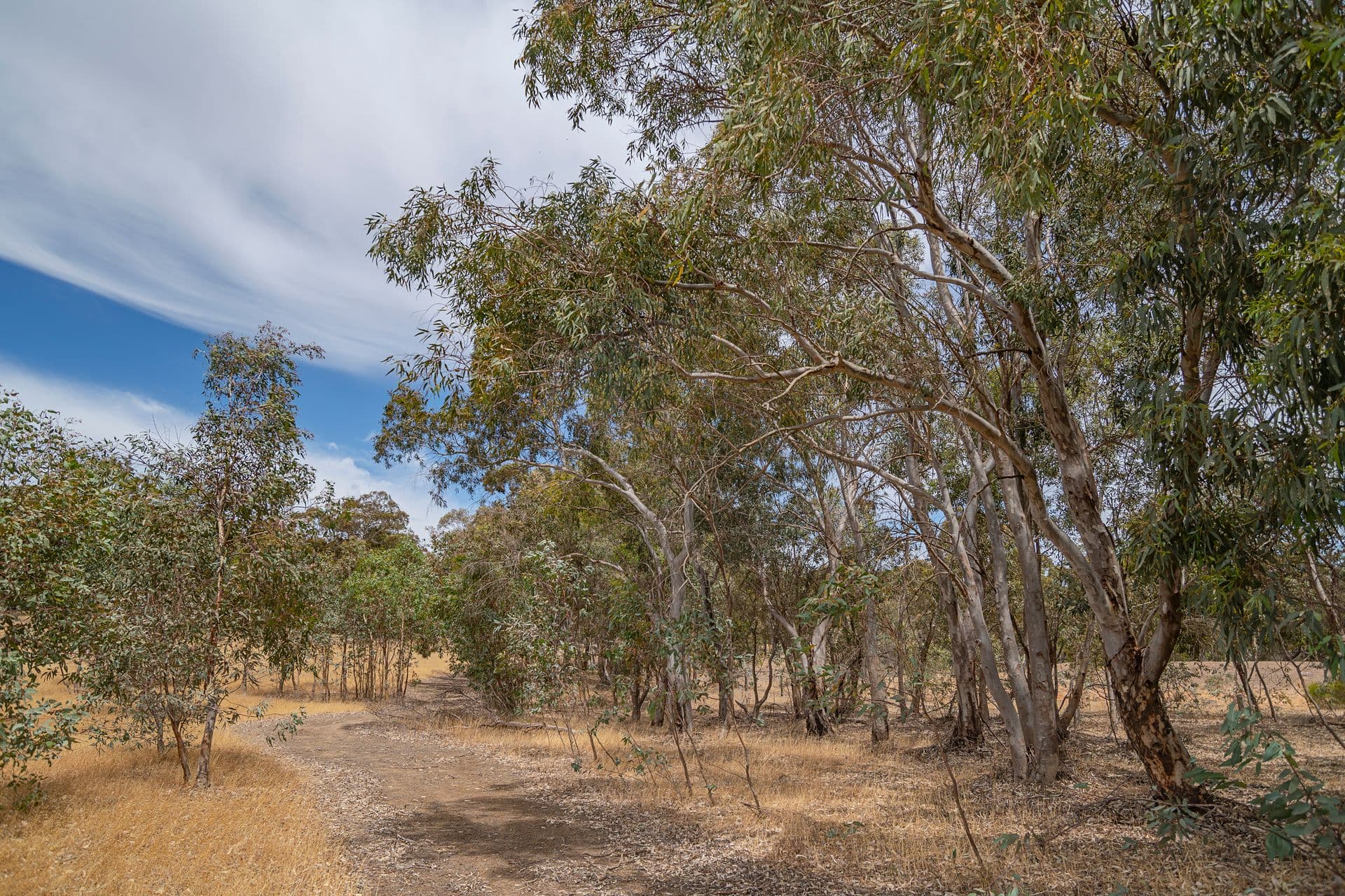 85 Ridge View Avenue, Boyup Brook, WA, 6244, Boyup Brook - Thumbnail 8