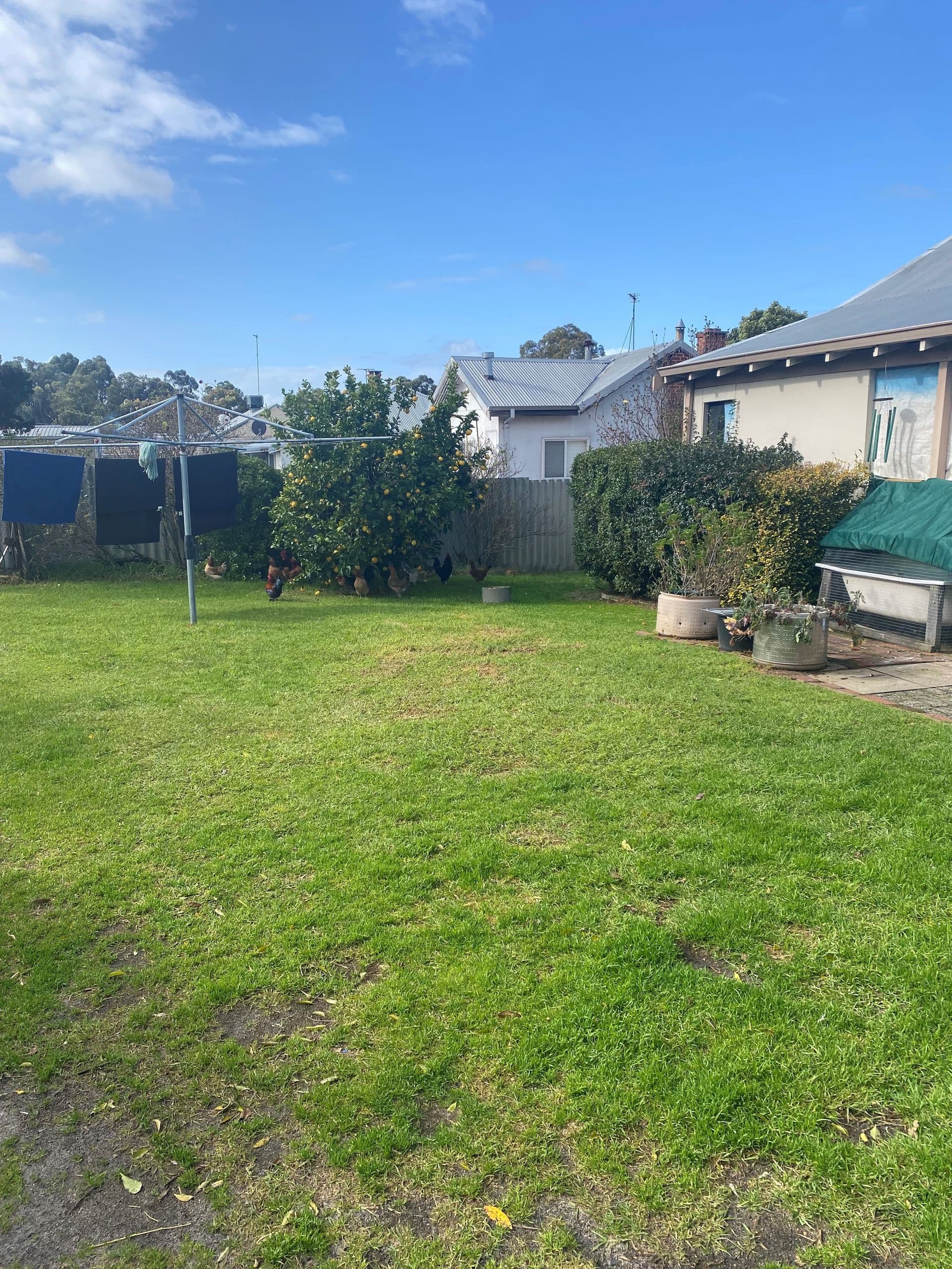 15 Moore Street, Collie, WA, 6225, Collie - Thumbnail 6