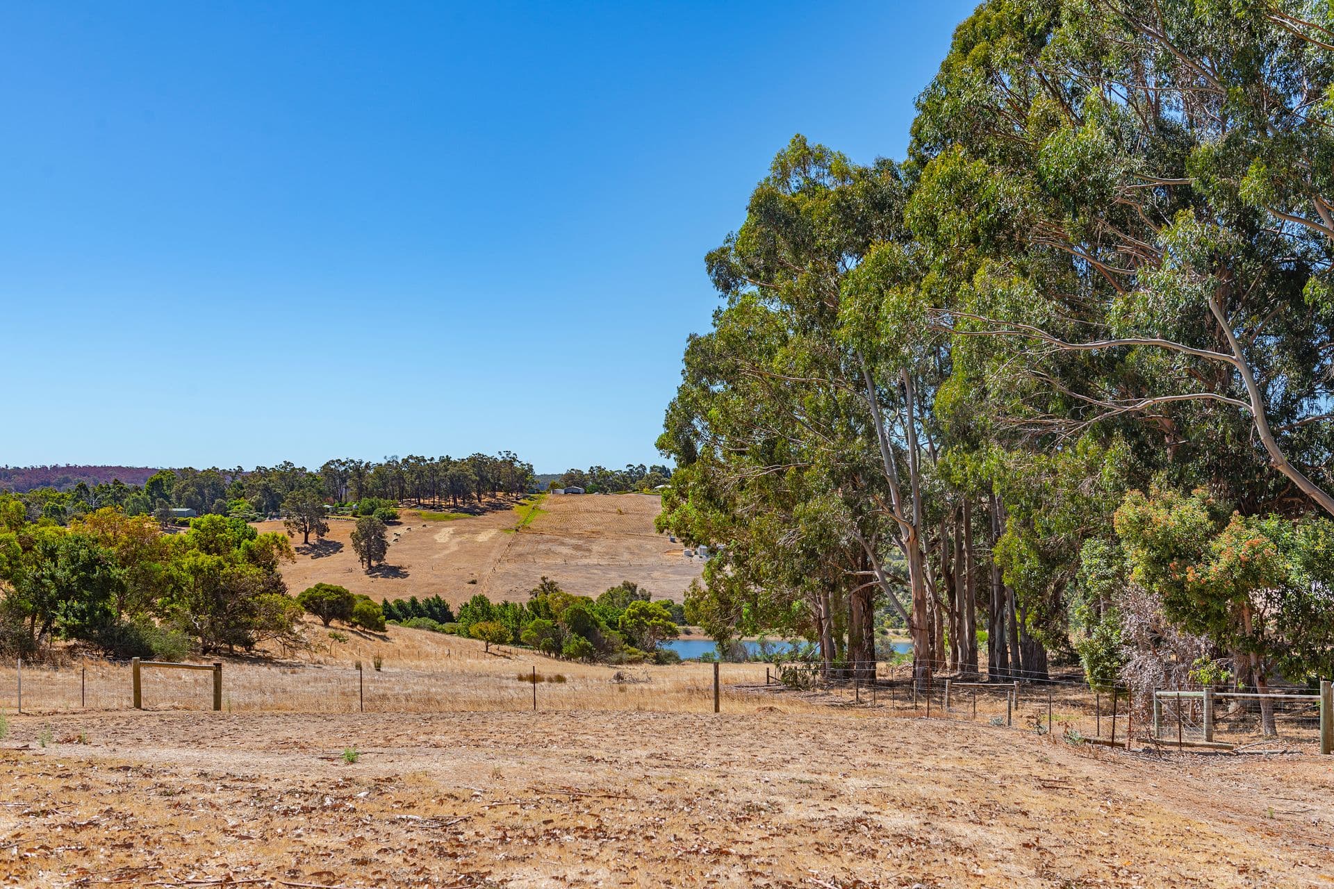 37/23 Casuarina Drive, Bunbury, WA, 6230, Kangaroo Gully - Thumbnail 2