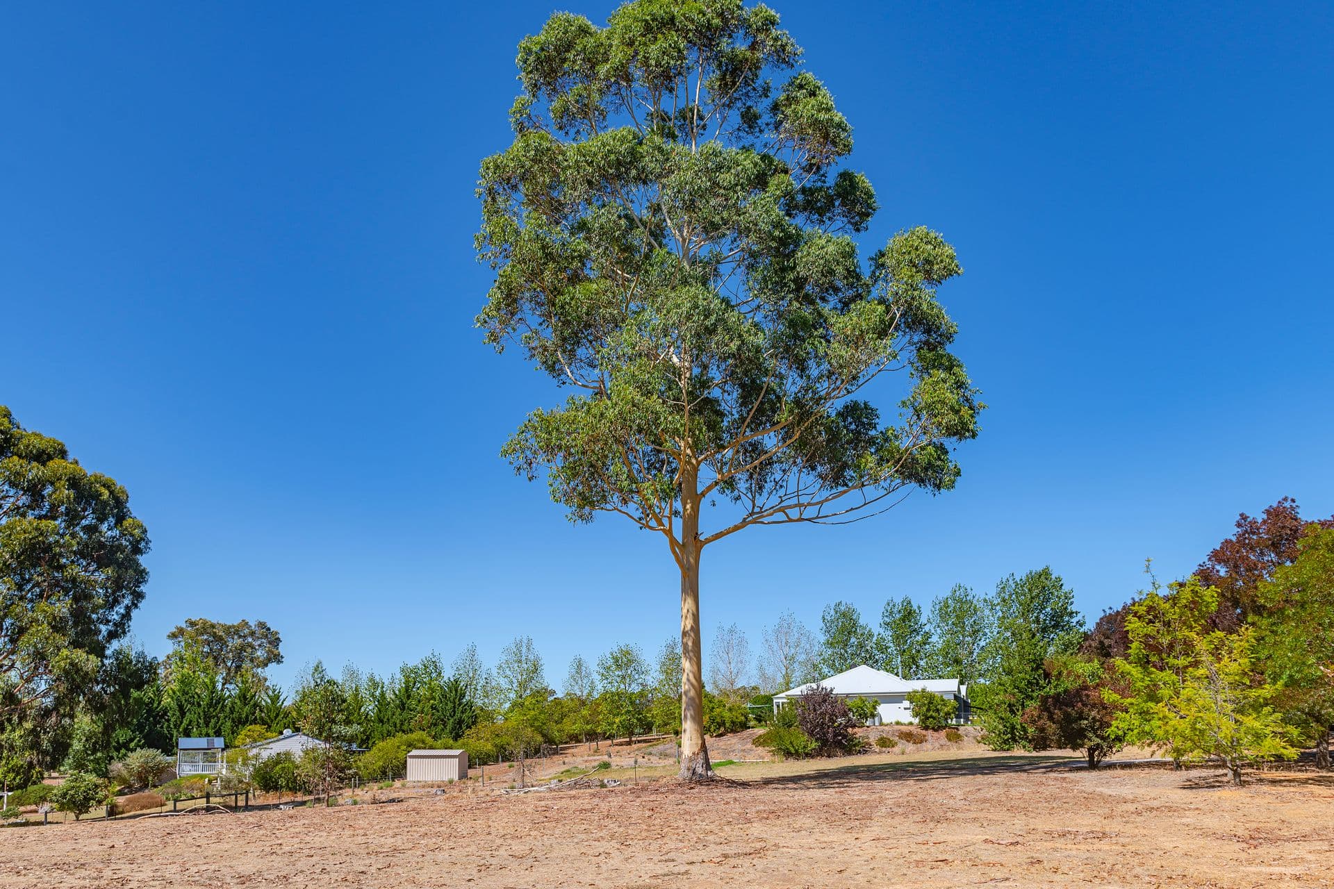 37/23 Casuarina Drive, Bunbury, WA, 6230, Kangaroo Gully - Thumbnail 4