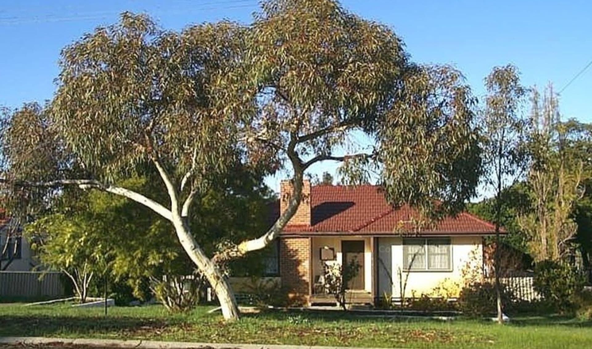 37/23 Casuarina Drive, Bunbury, WA, 6230, Carey Park - Image 1