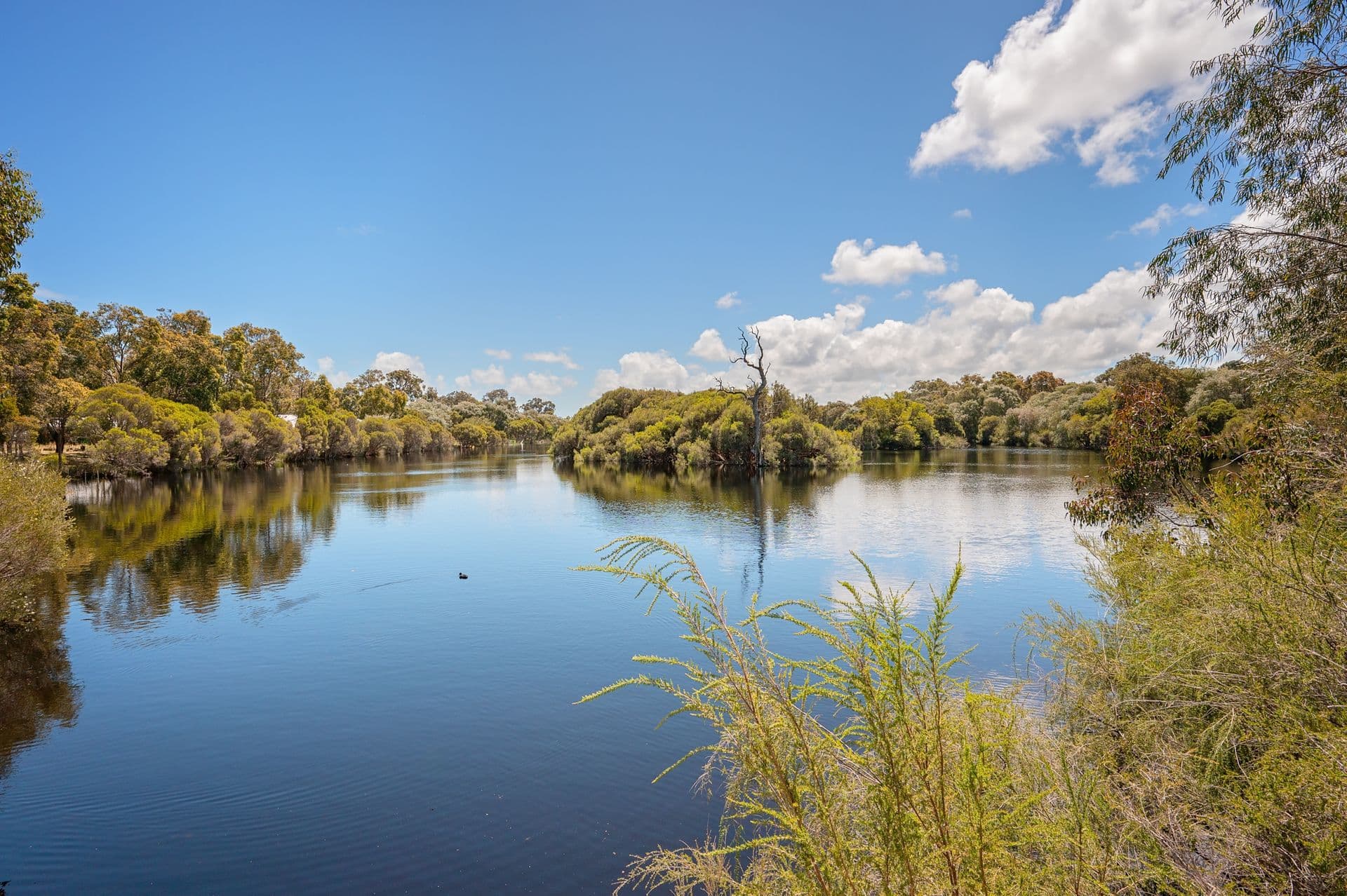 37/23 Casuarina Drive, Bunbury, WA, 6230, Myalup - Thumbnail 8
