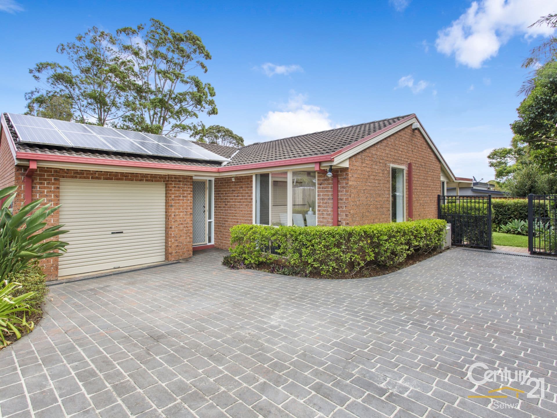 1/11 Railway Street, Chatswood, NSW, 2067, Frenchs Forest - Thumbnail 7