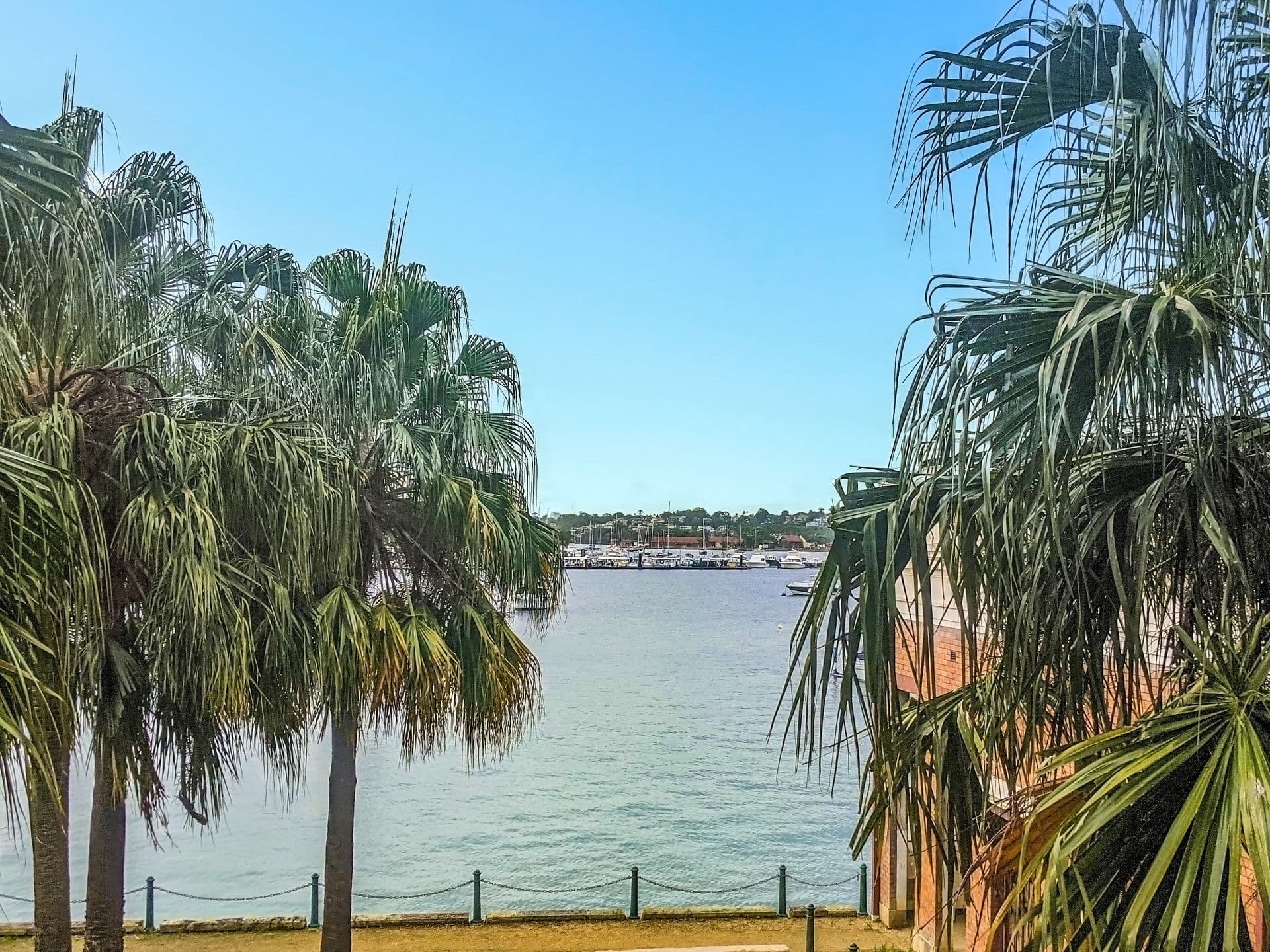 203/29 Margaret Street, Rozelle, NSW, 2039, Rozelle - Thumbnail 2