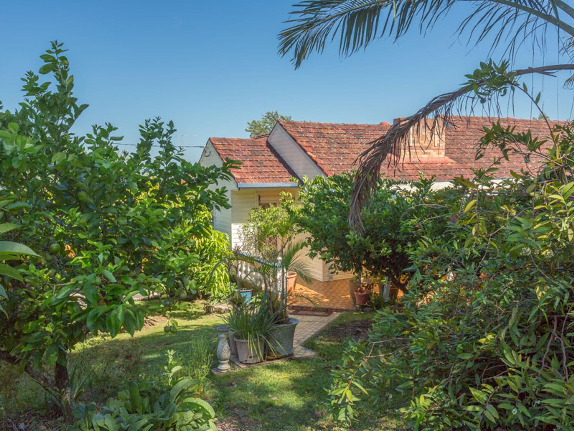 96 Bright Street, East Lismore, NSW, 2480, East Lismore - Thumbnail 4