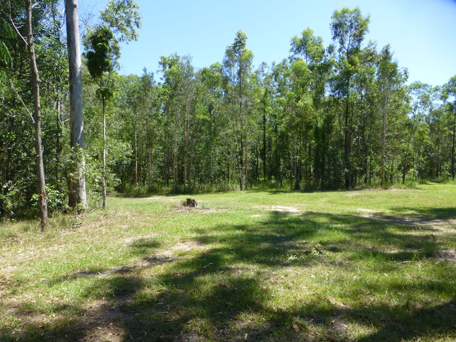 Address Withheld, Ellangowan, NSW, 2470, Ellangowan - Thumbnail 6