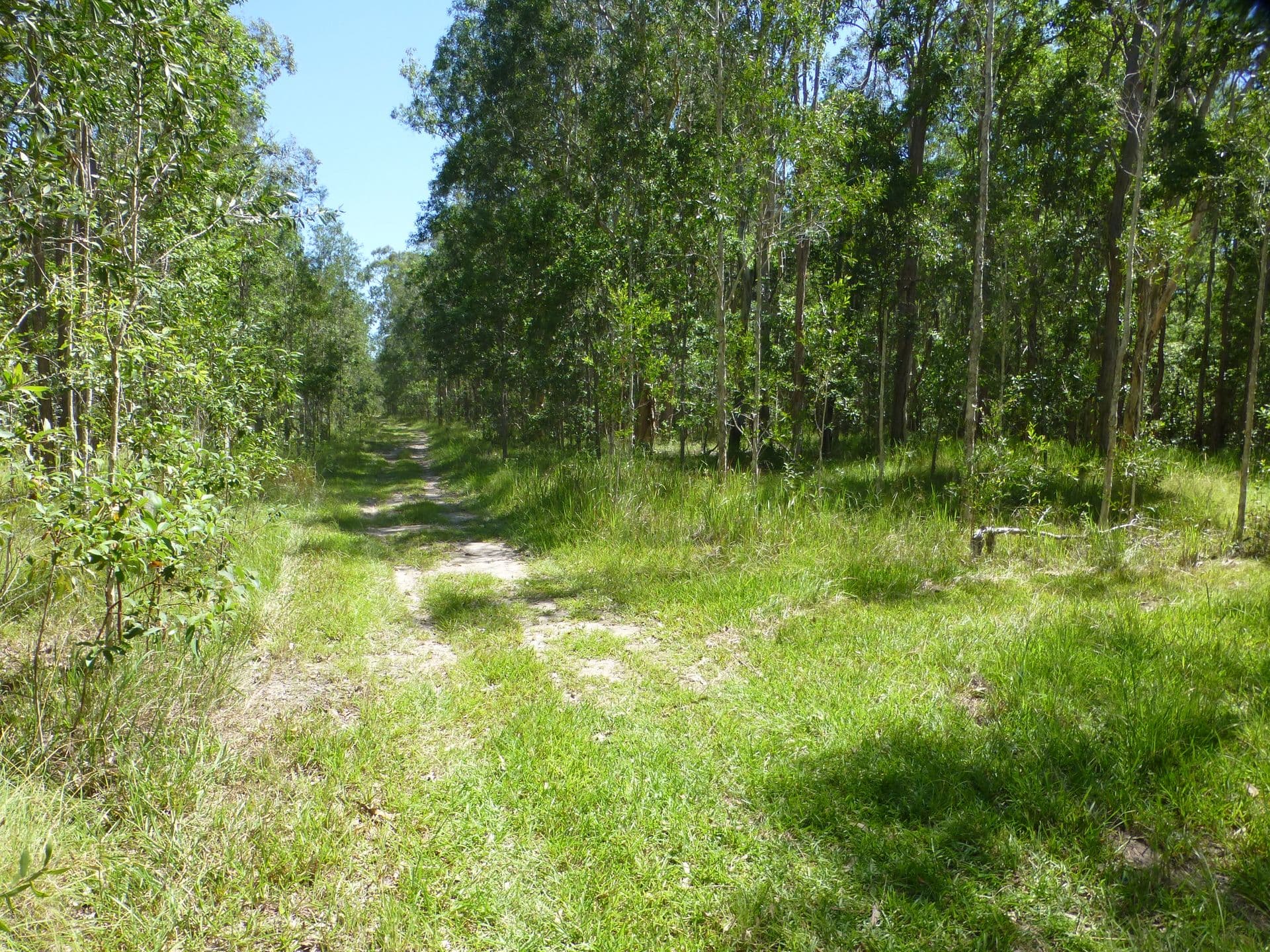 Address Withheld, Ellangowan, NSW, 2470, Ellangowan - Thumbnail 8