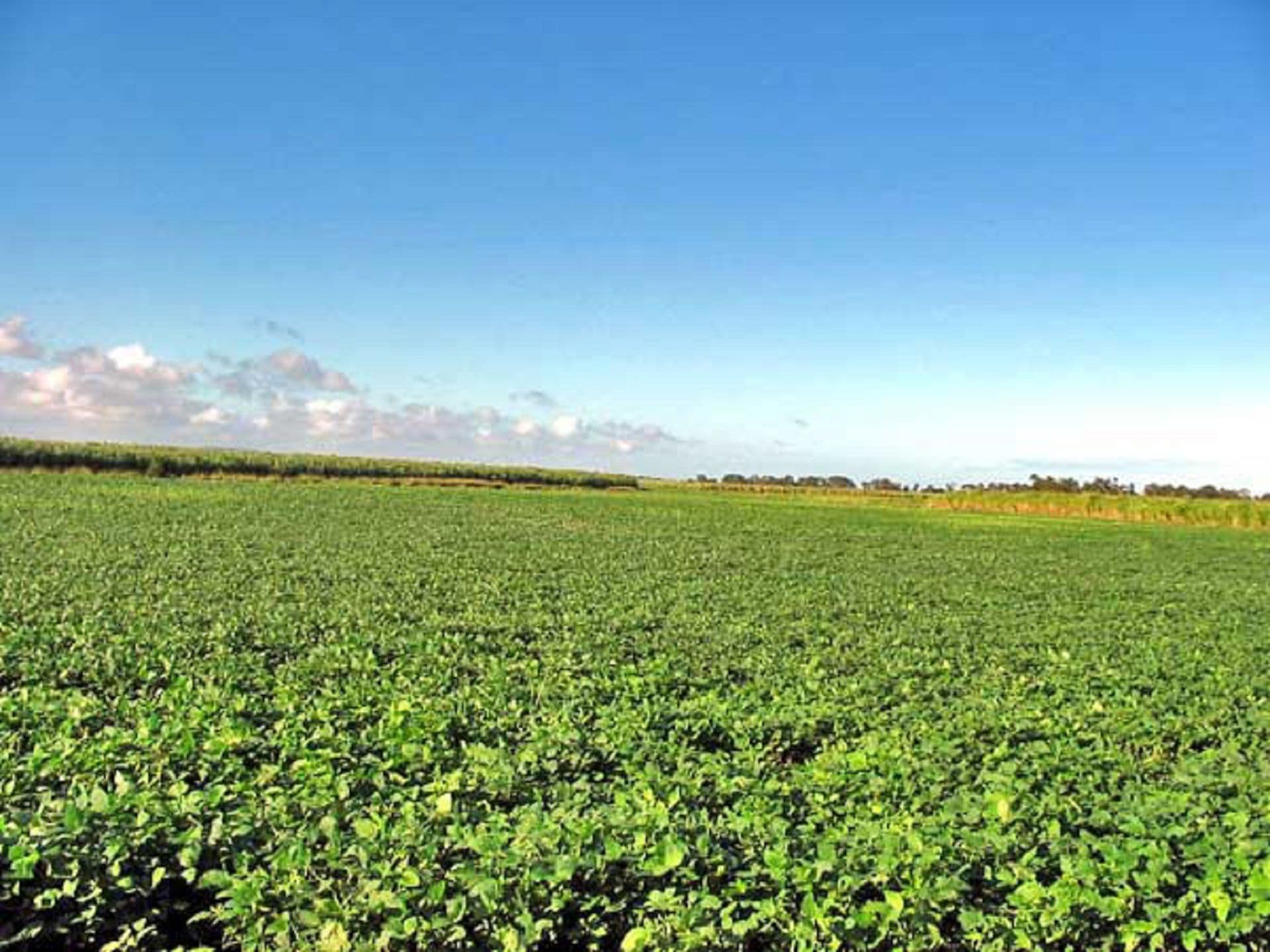 Address Withheld, South Ballina, NSW, 2478, South Ballina - Thumbnail 2