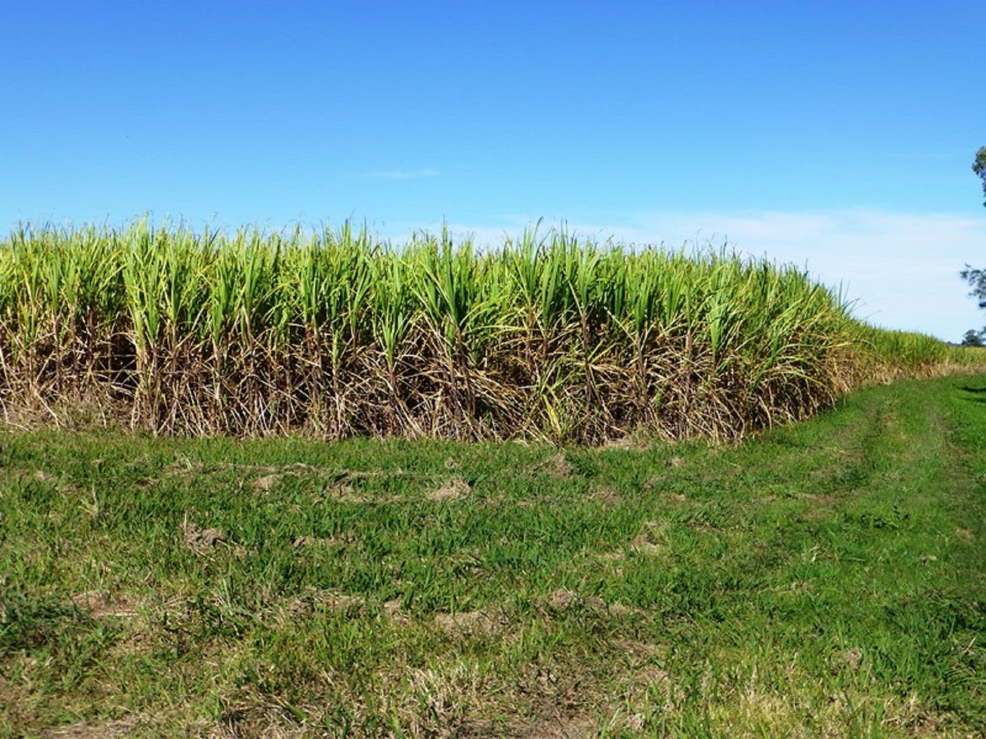 Address Withheld, South Ballina, NSW, 2478, South Ballina - Thumbnail 4