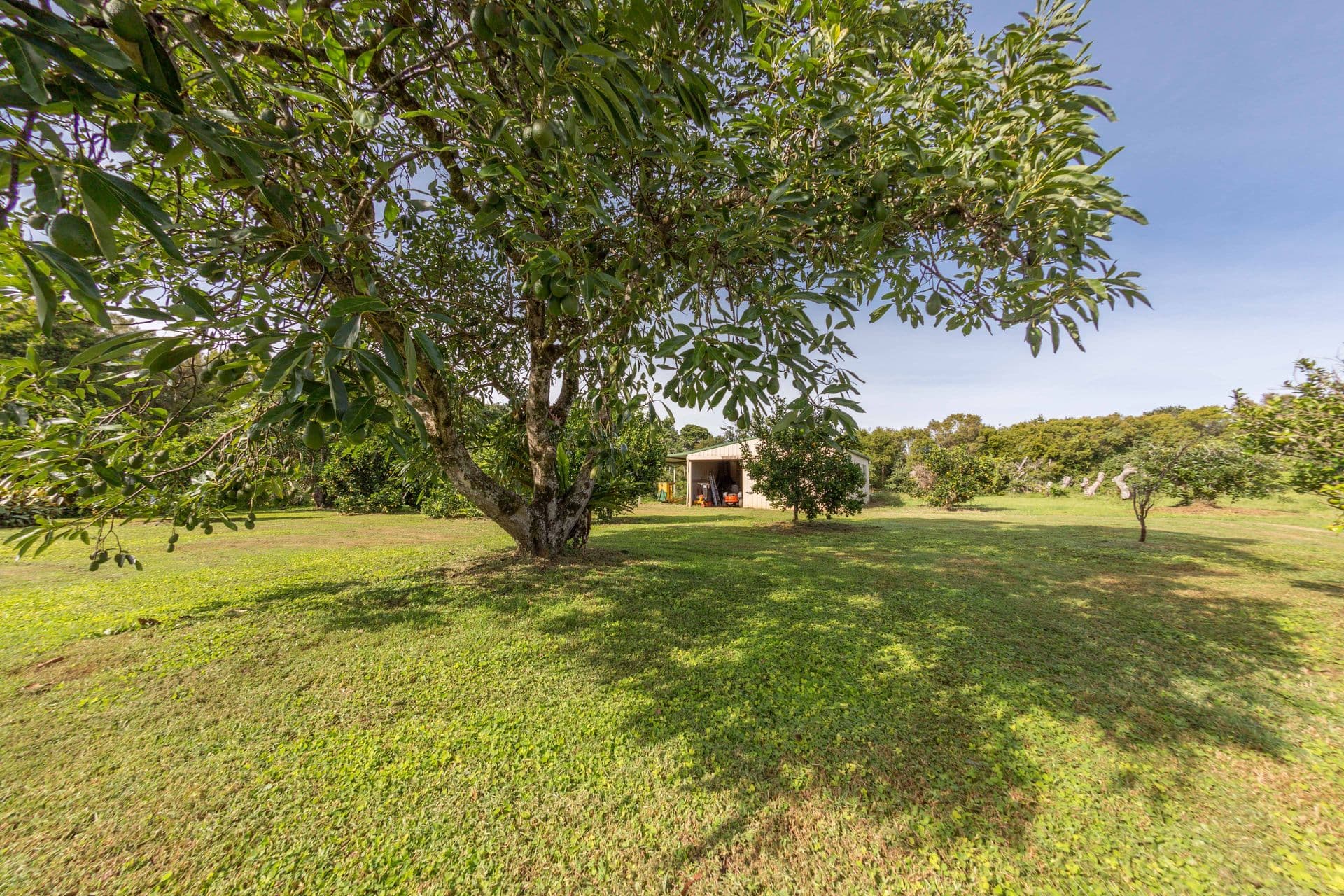129 Rous Road, Rous, NSW, 2477, Rous - Thumbnail 3