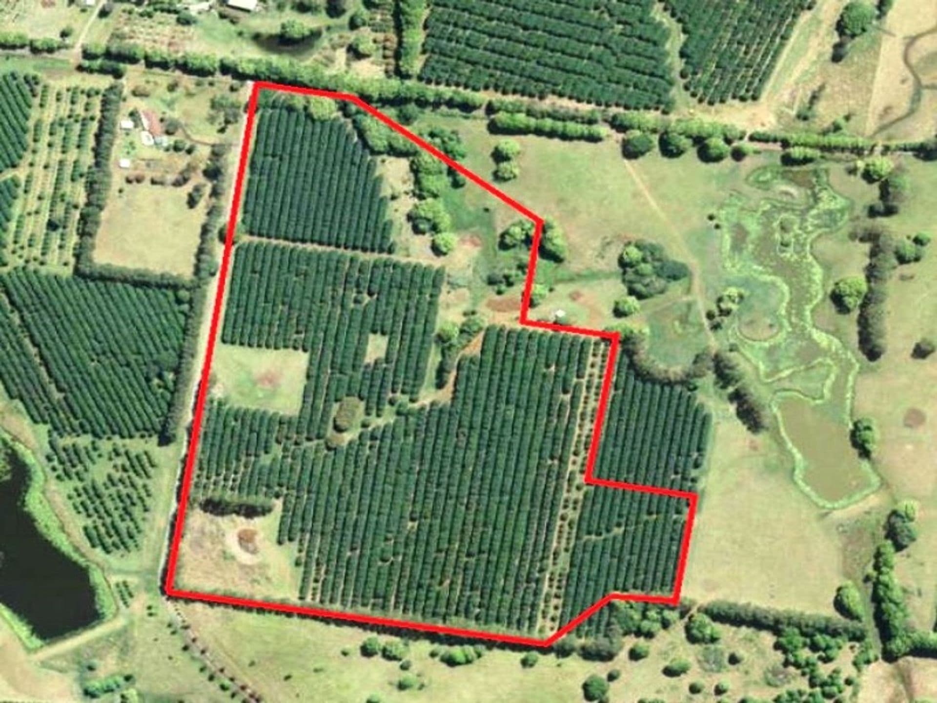 Address Withheld, McLeans Ridges, NSW, 2480, McLeans Ridges - Thumbnail 8