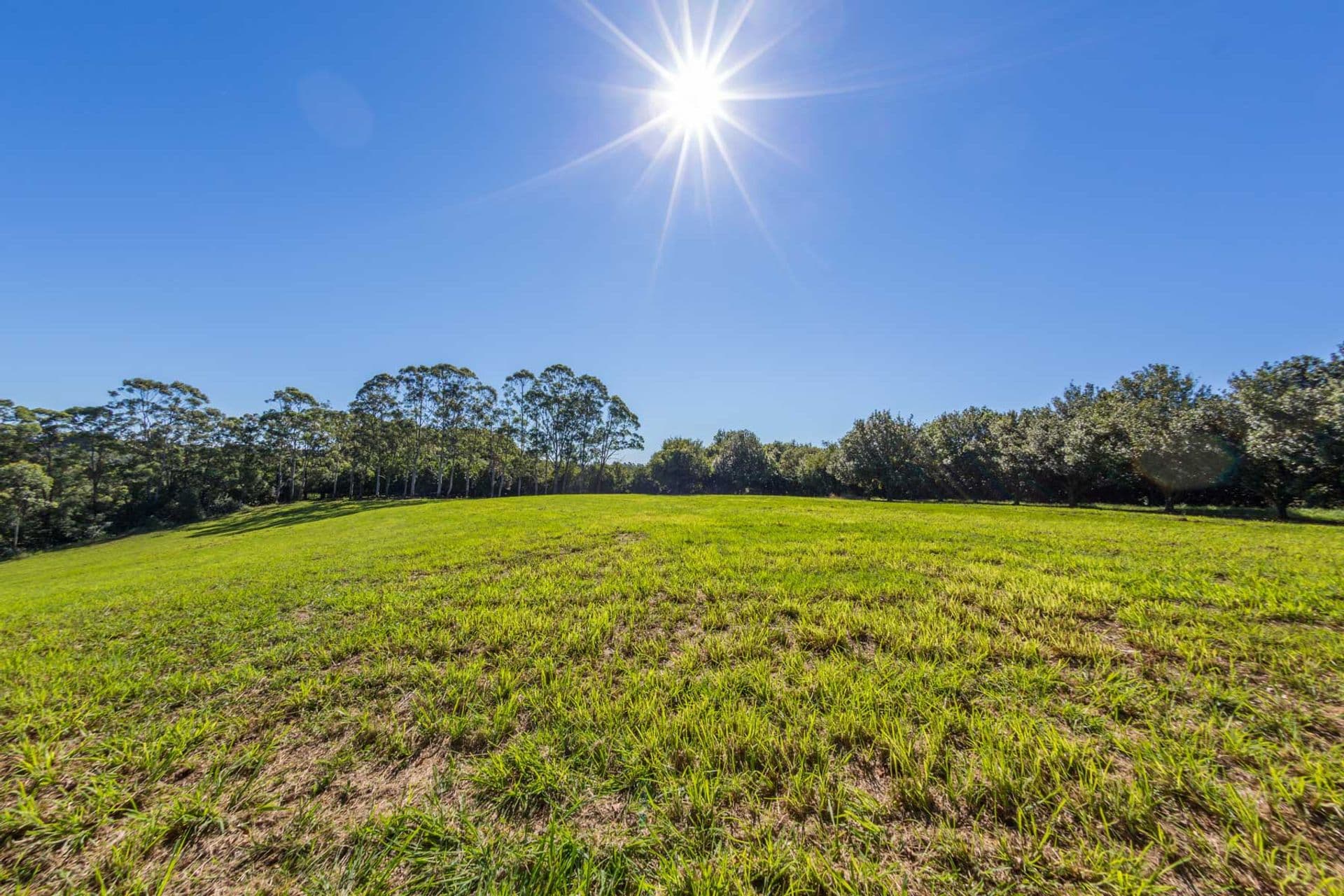 Address Withheld, McLeans Ridges, NSW, 2480, McLeans Ridges - Thumbnail 2