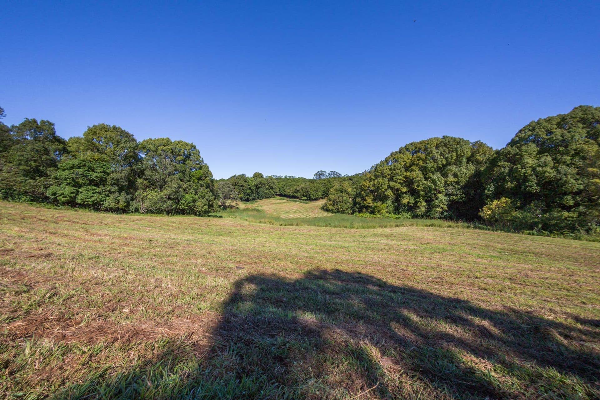 Address Withheld, McLeans Ridges, NSW, 2480, McLeans Ridges - Thumbnail 5