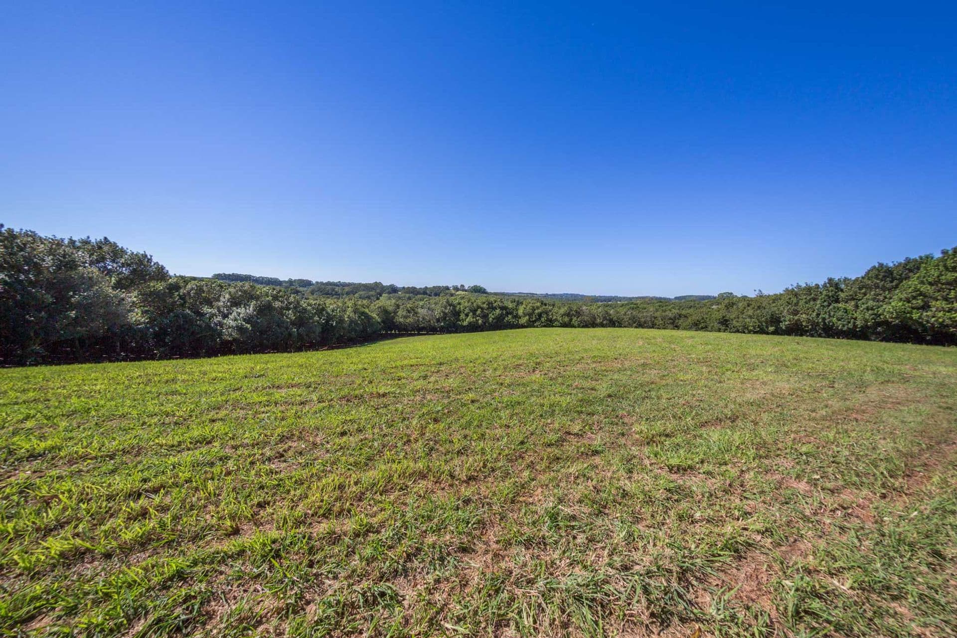 Address Withheld, McLeans Ridges, NSW, 2480, McLeans Ridges - Thumbnail 7
