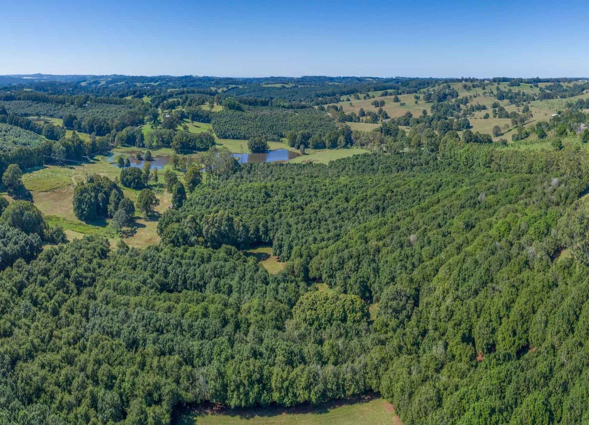Address Withheld, McLeans Ridges, NSW, 2480, McLeans Ridges - Image 1