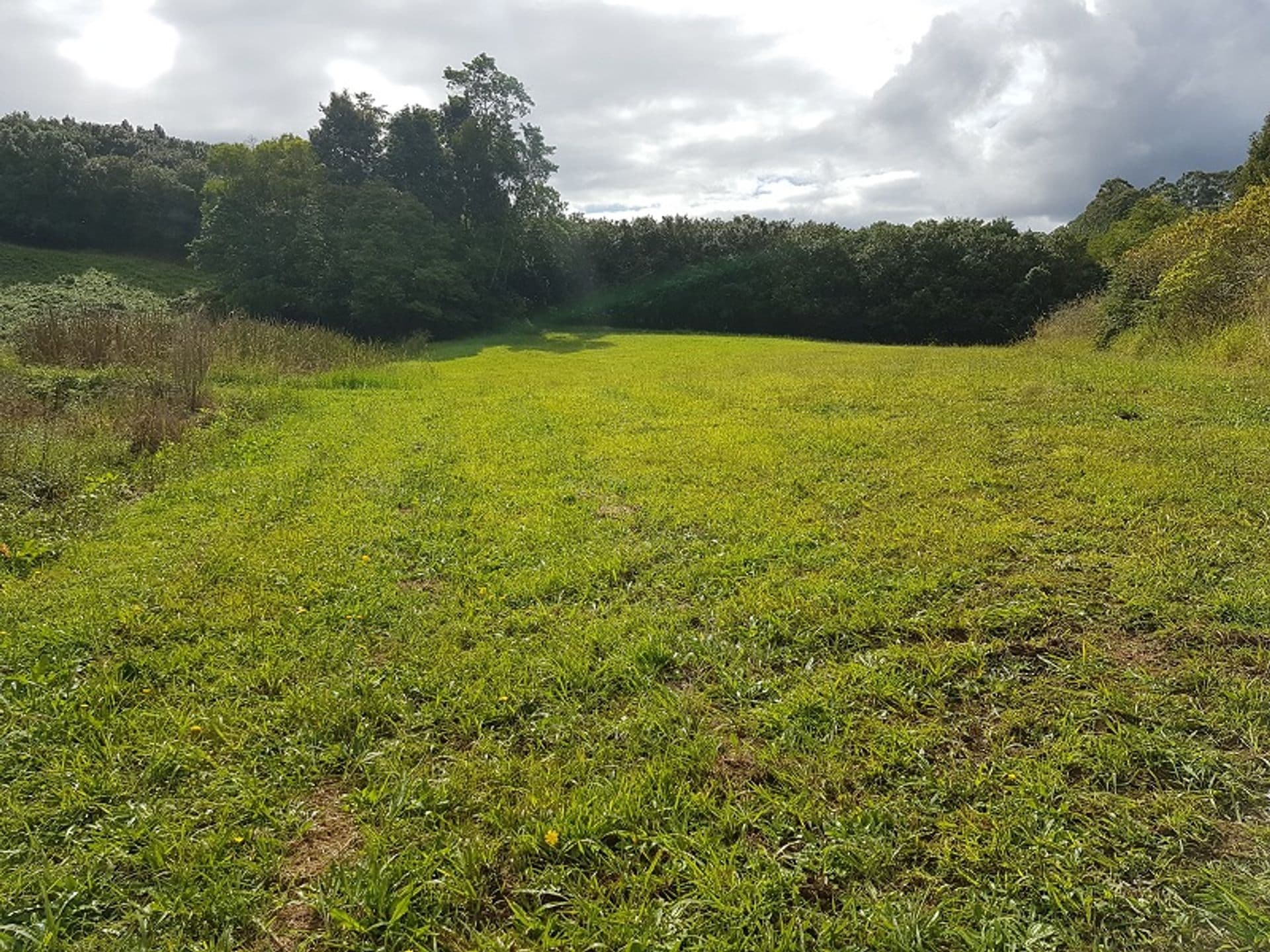 Address Withheld, Dorroughby, NSW, 2480, Dorroughby - Thumbnail 6