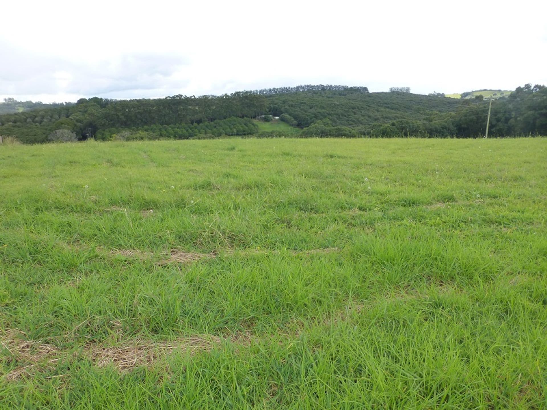 Address Withheld, Dorroughby, NSW, 2480, Dorroughby - Thumbnail 2