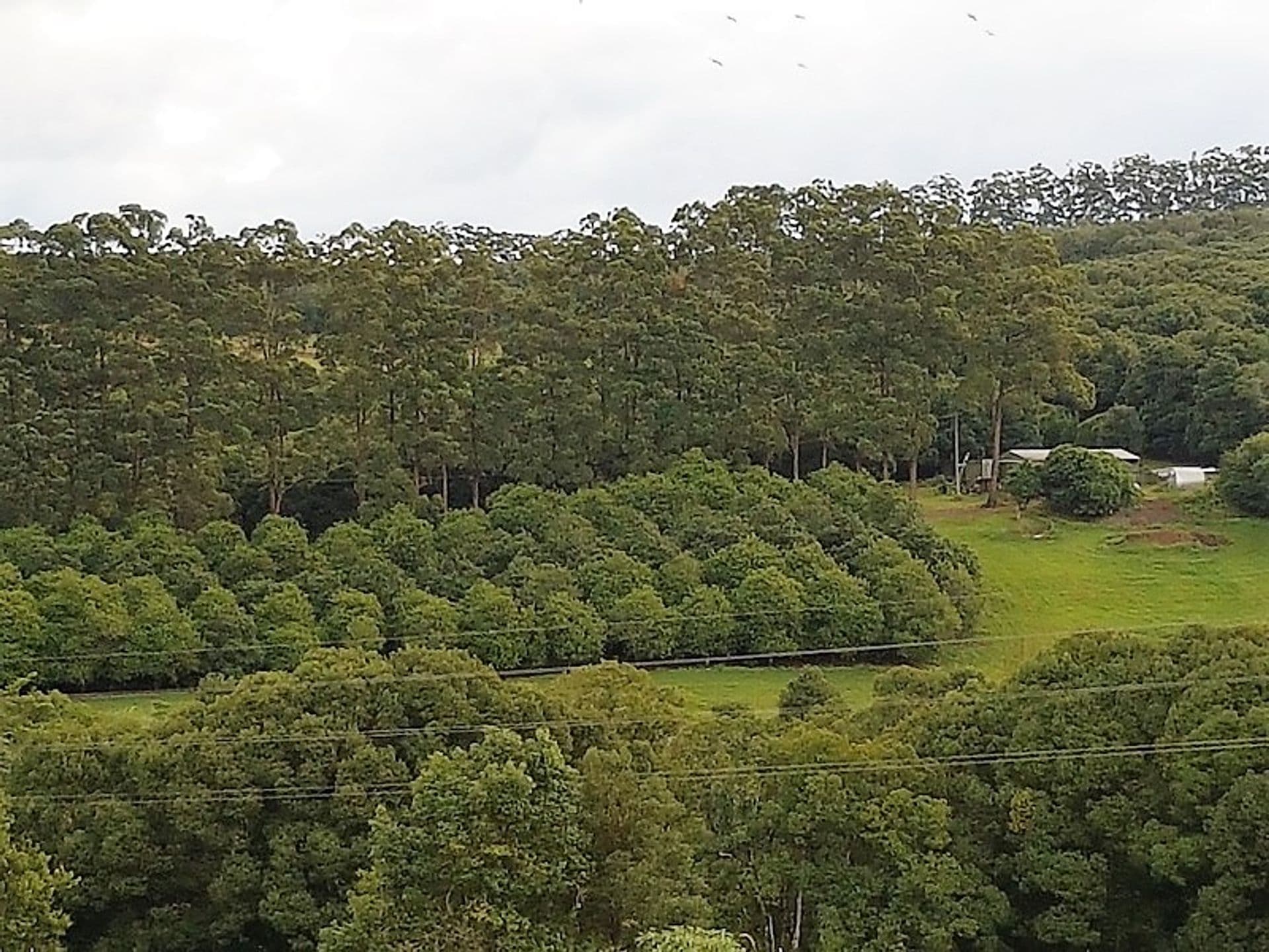 Address Withheld, Dorroughby, NSW, 2480, Dorroughby - Thumbnail 8