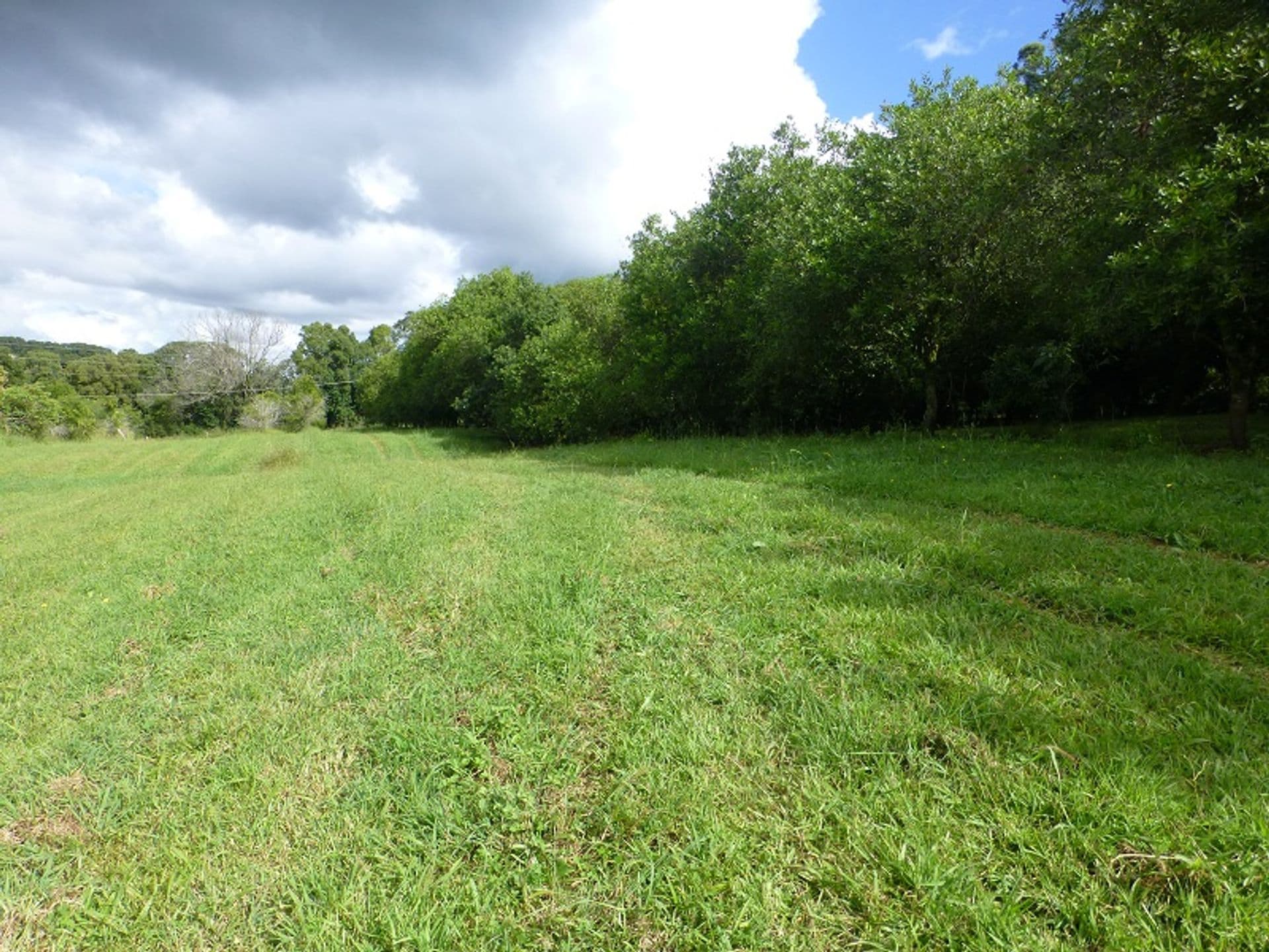 Address Withheld, Dorroughby, NSW, 2480, Dorroughby - Image 1