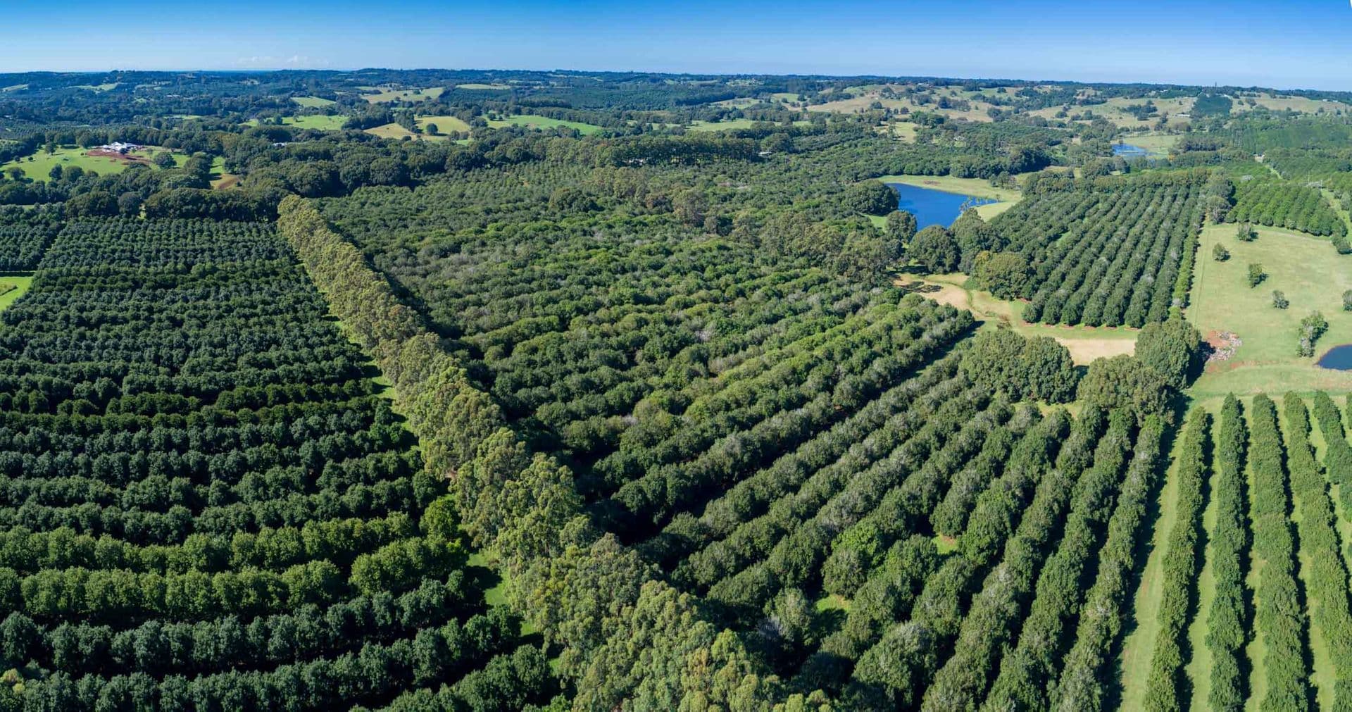 Address Withheld, McLeans Ridges, NSW, 2480, McLeans Ridges - Image 1