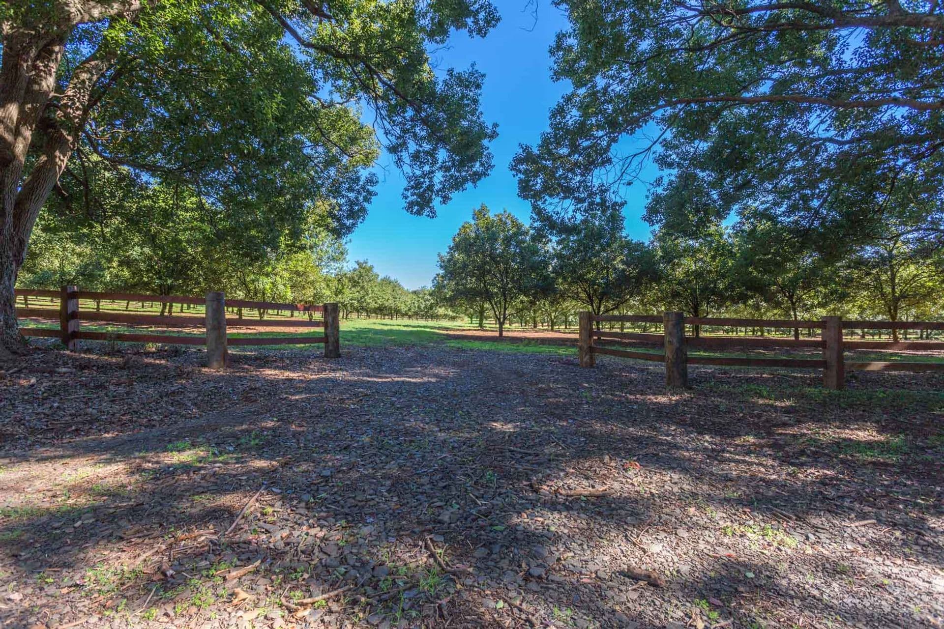 Address Withheld, McLeans Ridges, NSW, 2480, McLeans Ridges - Thumbnail 7