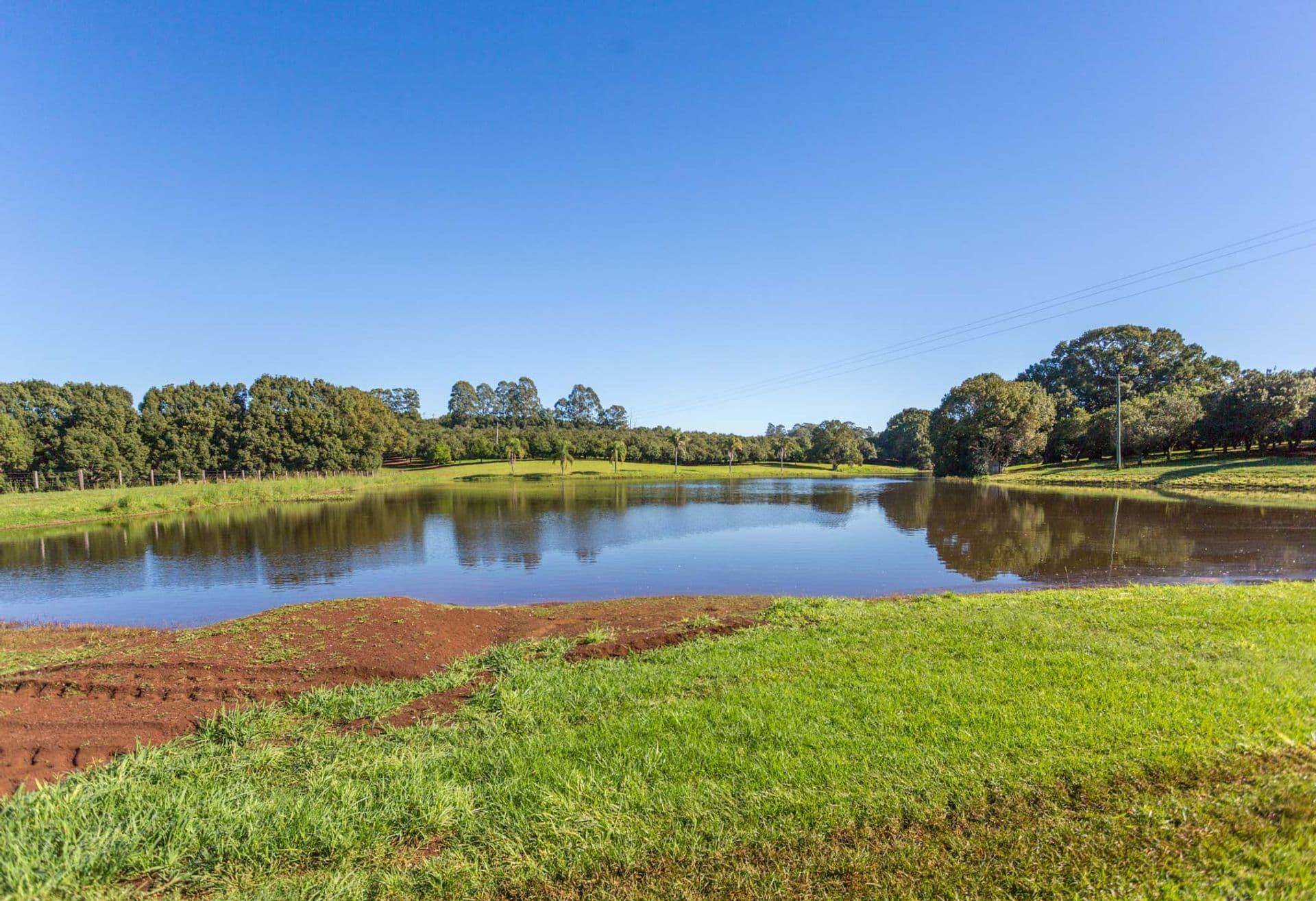 Address Withheld, McLeans Ridges, NSW, 2480, McLeans Ridges - Thumbnail 2