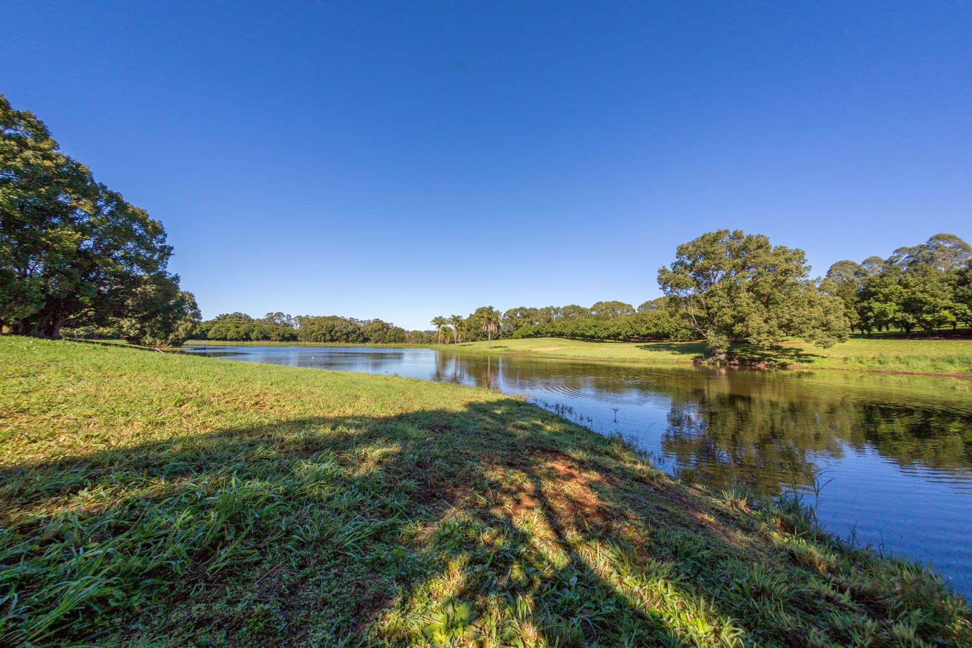 Address Withheld, McLeans Ridges, NSW, 2480, McLeans Ridges - Thumbnail 6