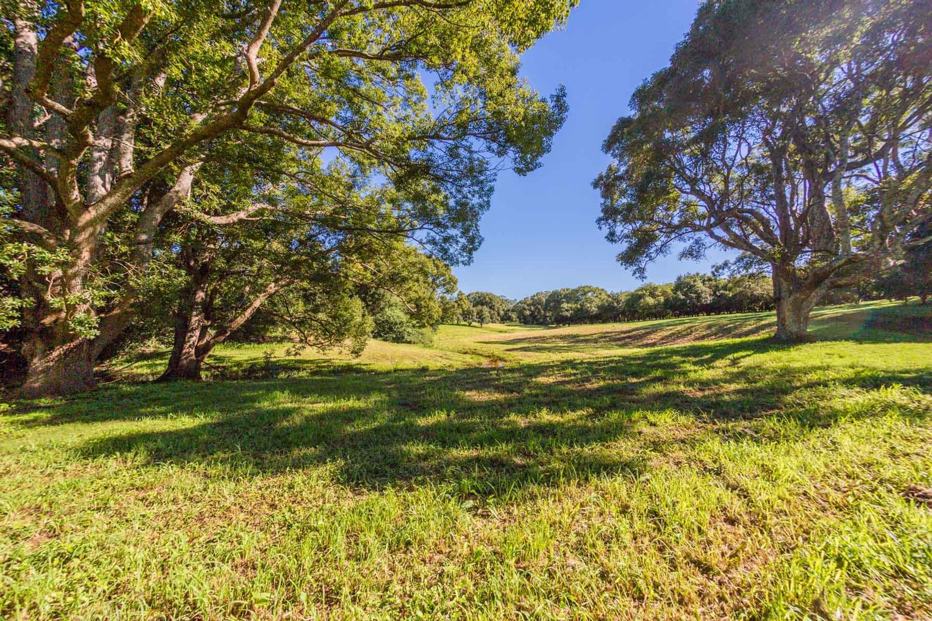 Address Withheld, McLeans Ridges, NSW, 2480, McLeans Ridges - Thumbnail 7
