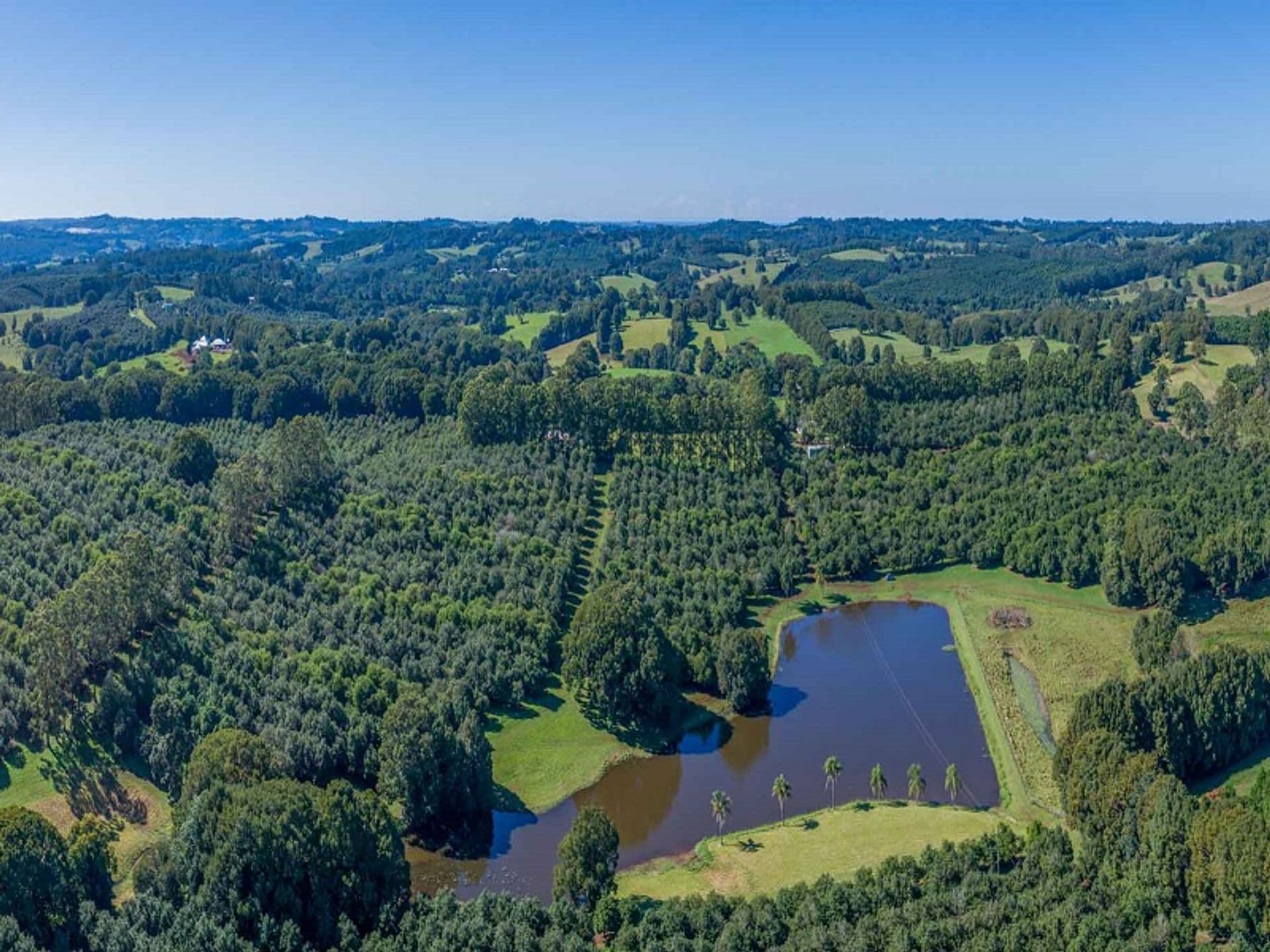 Address Withheld, McLeans Ridges, NSW, 2480, McLeans Ridges - Image 1