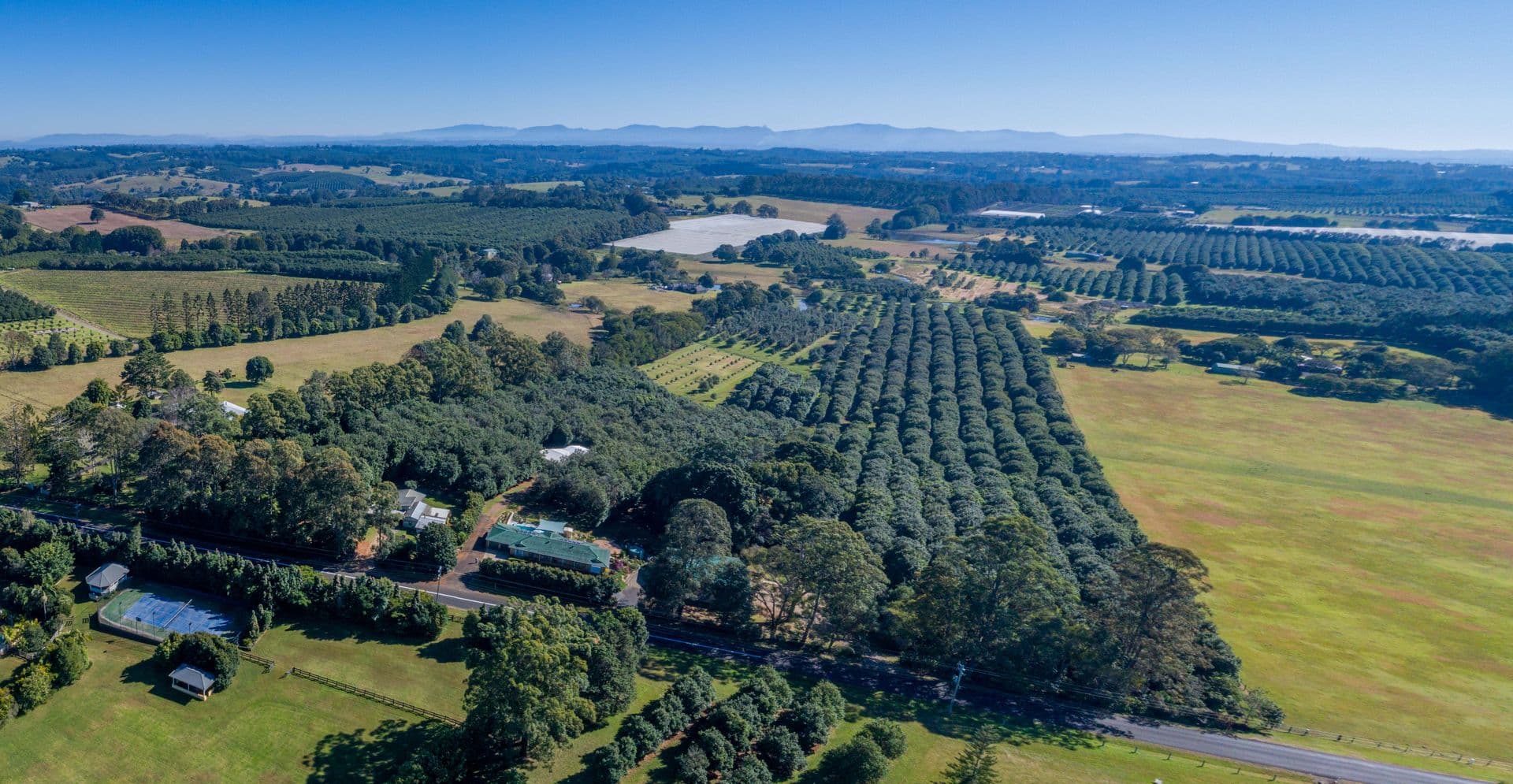 388  Rous Road, Rous Mill, NSW, 2477, Rous Mill - Image 1