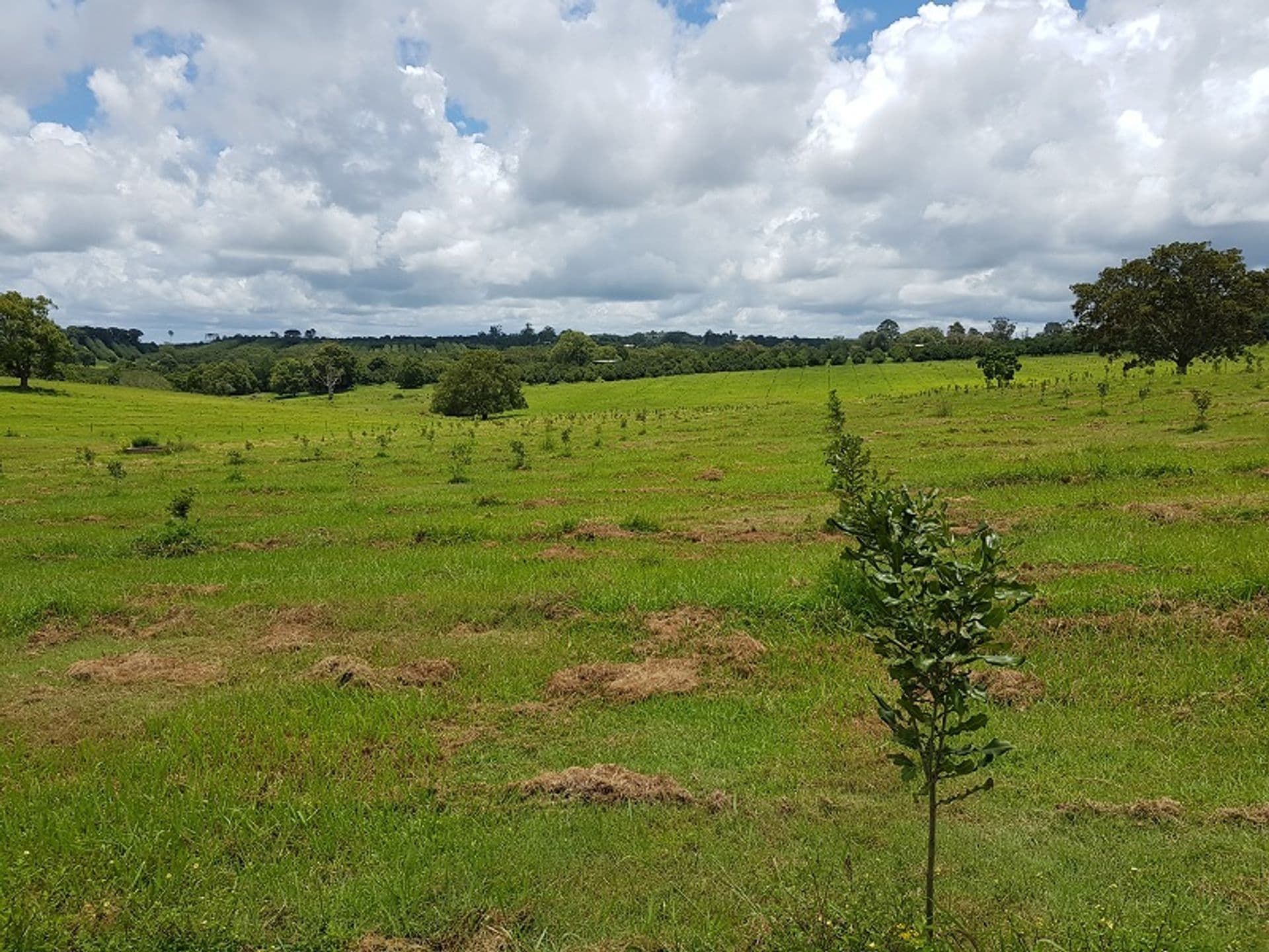 Address Withheld, Tregeagle, NSW, 2480, Tregeagle - Thumbnail 4