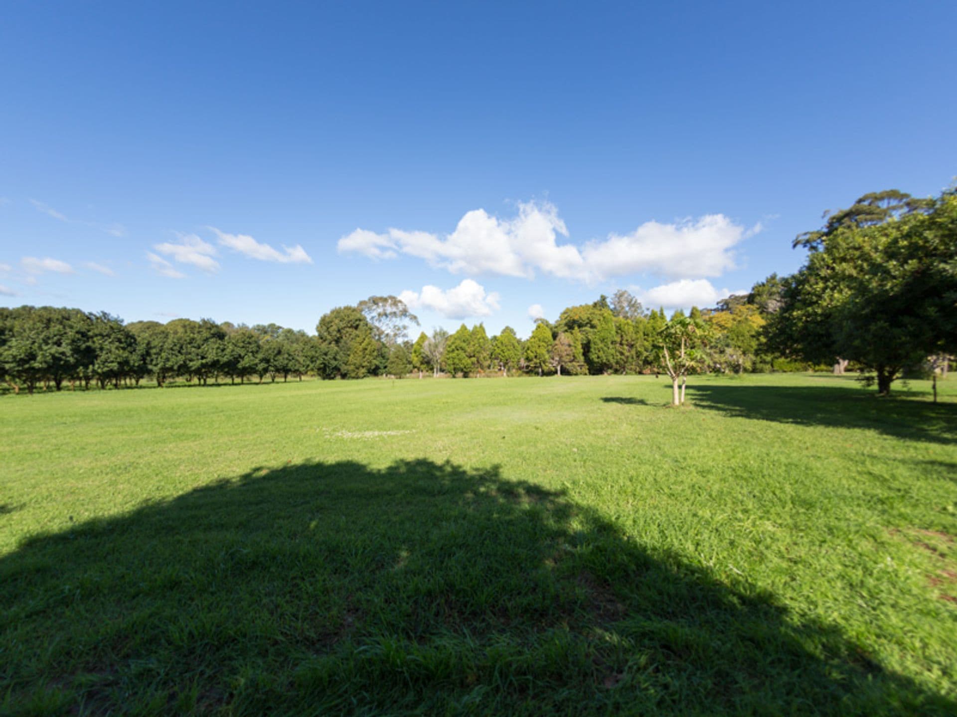 Address Withheld, Dalwood, NSW, 2477, Dalwood - Thumbnail 5