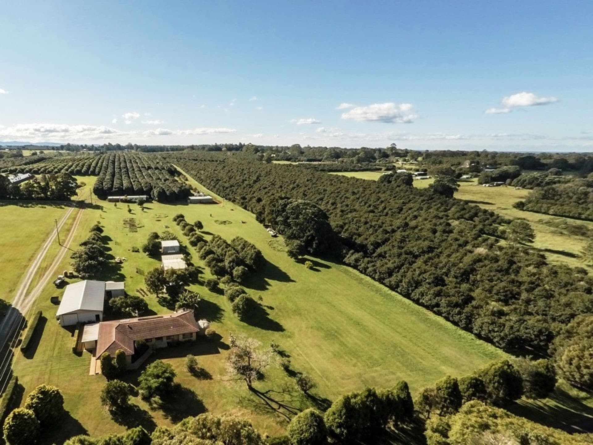 Address Withheld, Dalwood, NSW, 2477, Dalwood - Thumbnail 6