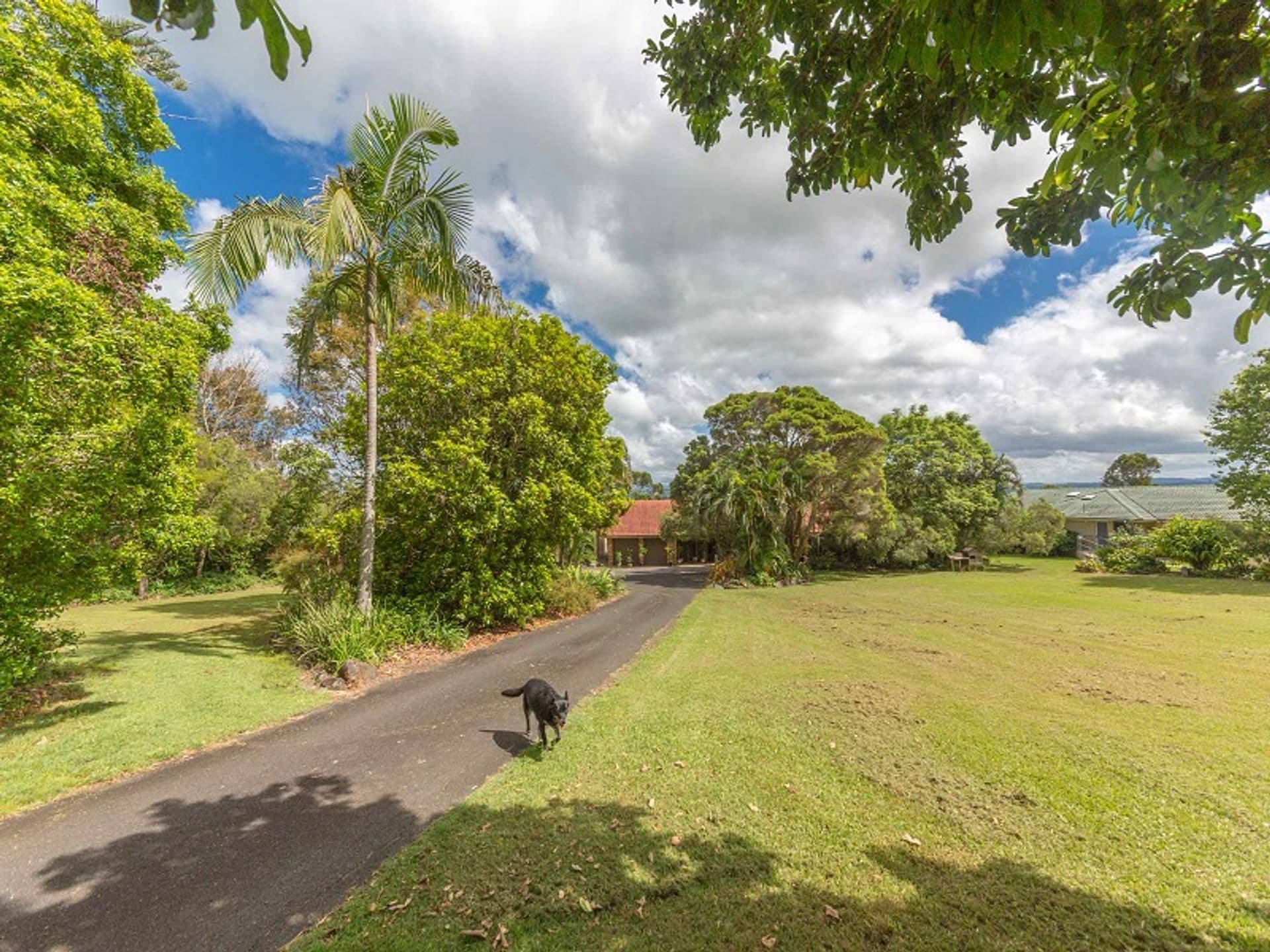 29 Grace Road, Bexhill, NSW, 2480, Bexhill - Thumbnail 5