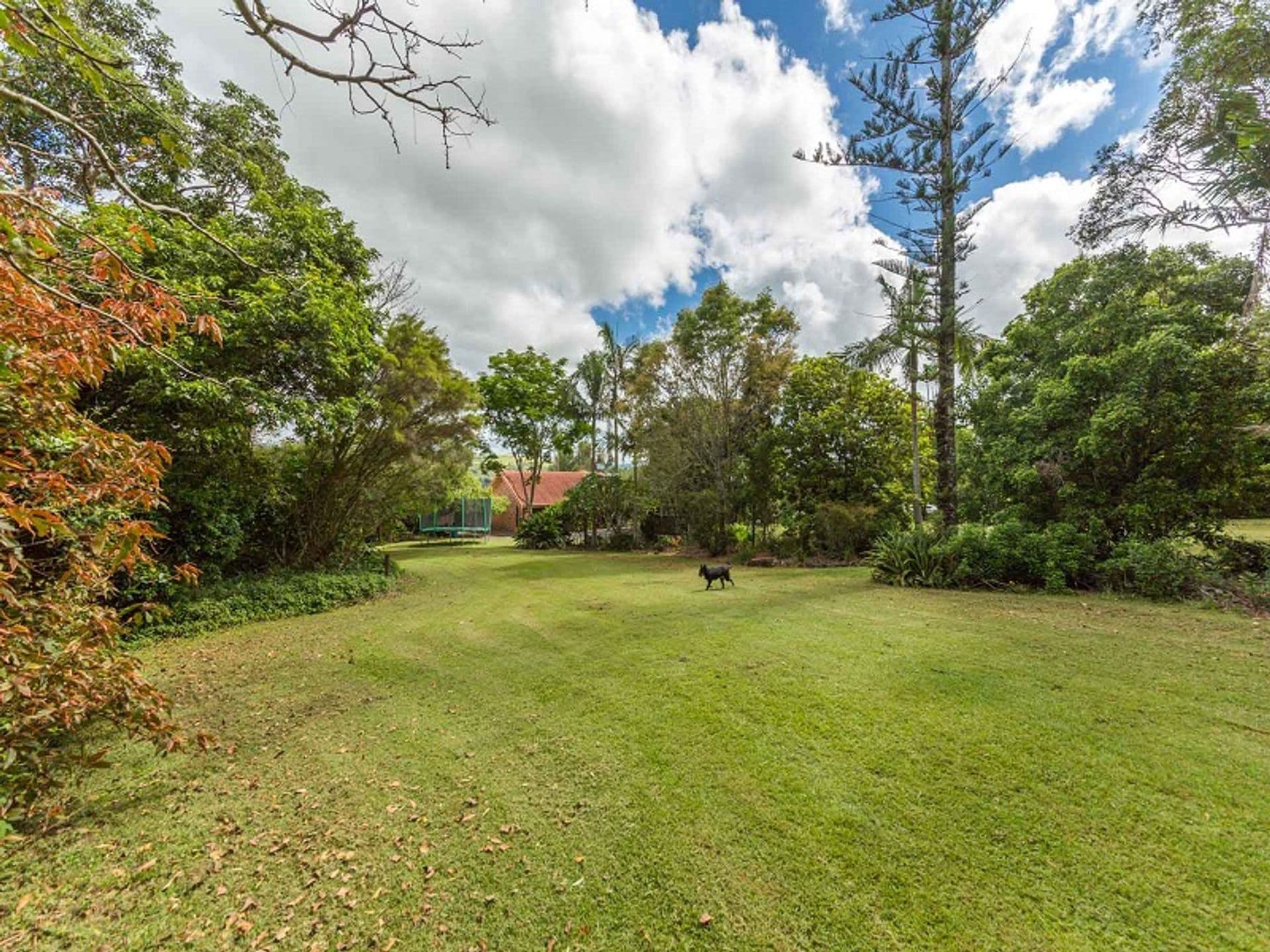 29 Grace Road, Bexhill, NSW, 2480, Bexhill - Thumbnail 6