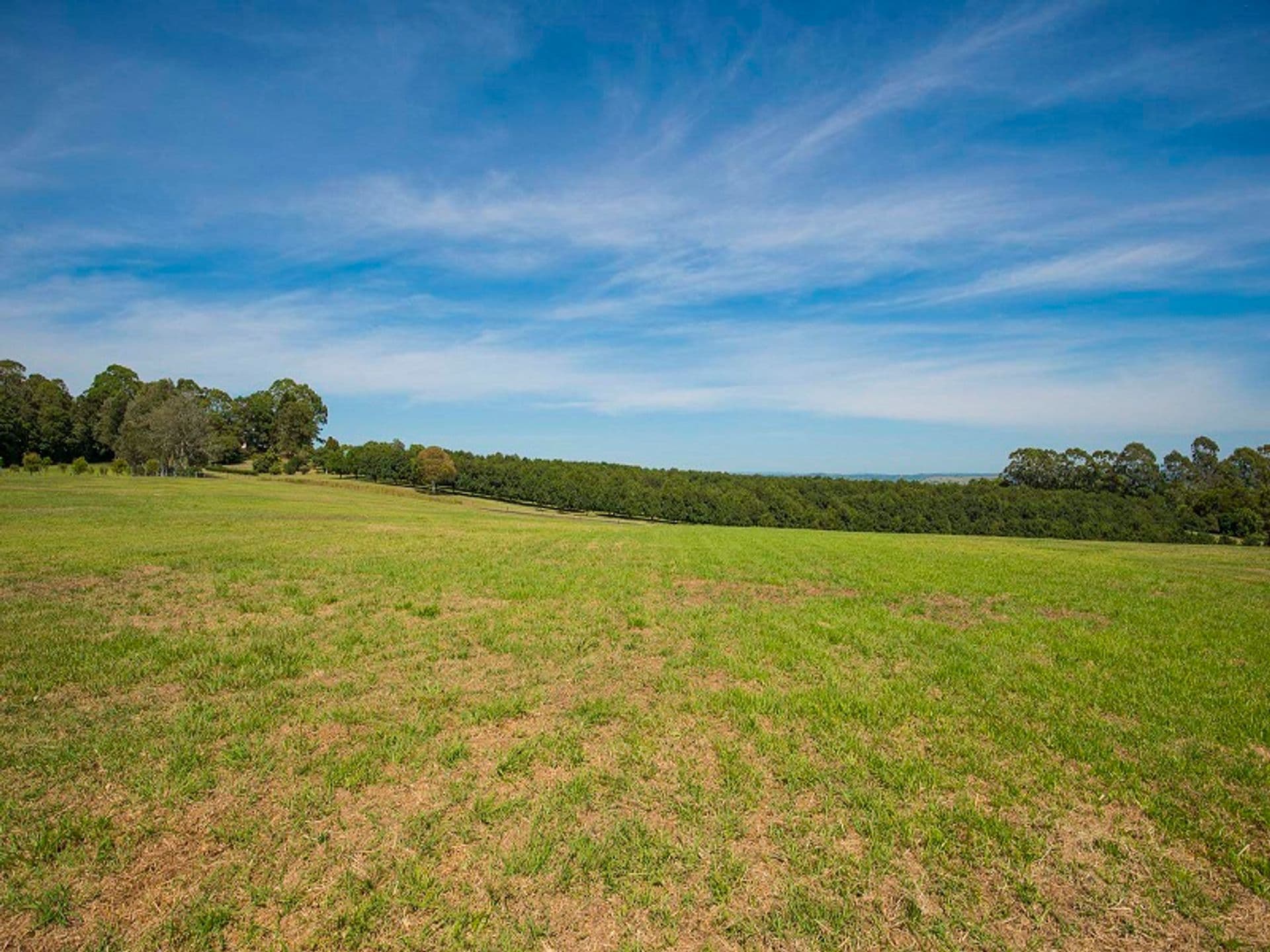 Address Withheld, McLeans Ridges, NSW, 2480, McLeans Ridges - Thumbnail 6