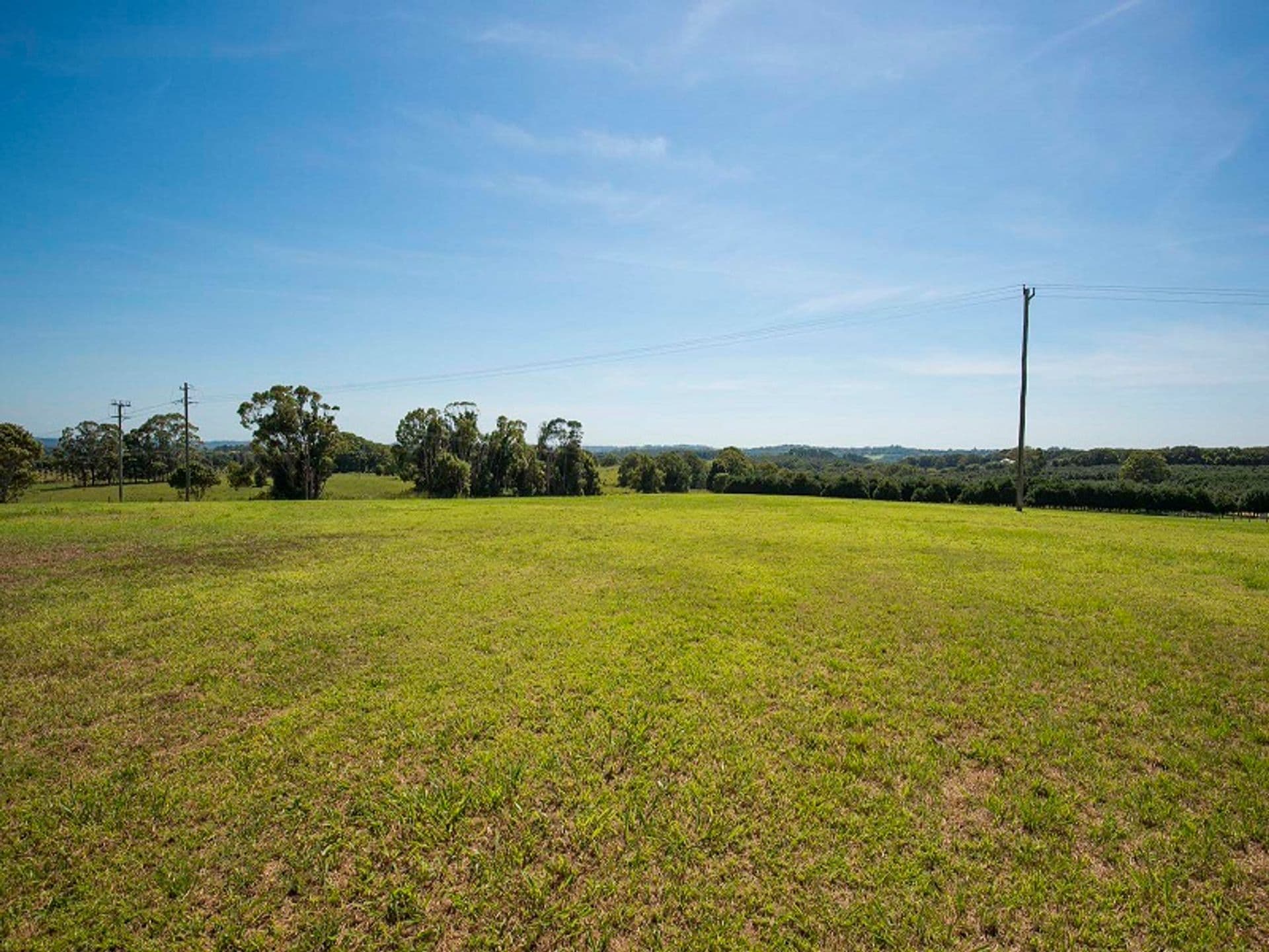 Address Withheld, McLeans Ridges, NSW, 2480, McLeans Ridges - Thumbnail 7