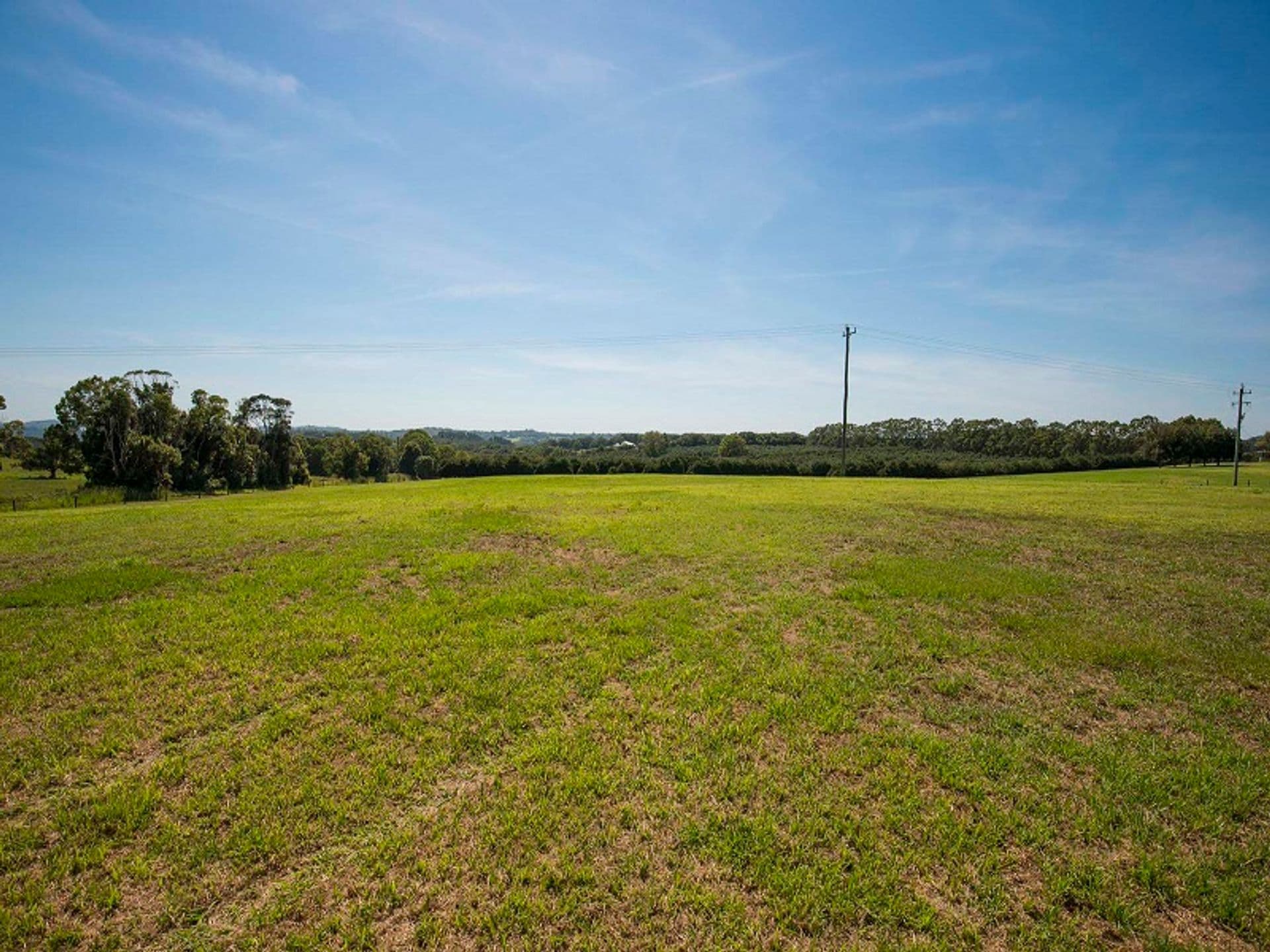 Address Withheld, McLeans Ridges, NSW, 2480, McLeans Ridges - Thumbnail 8