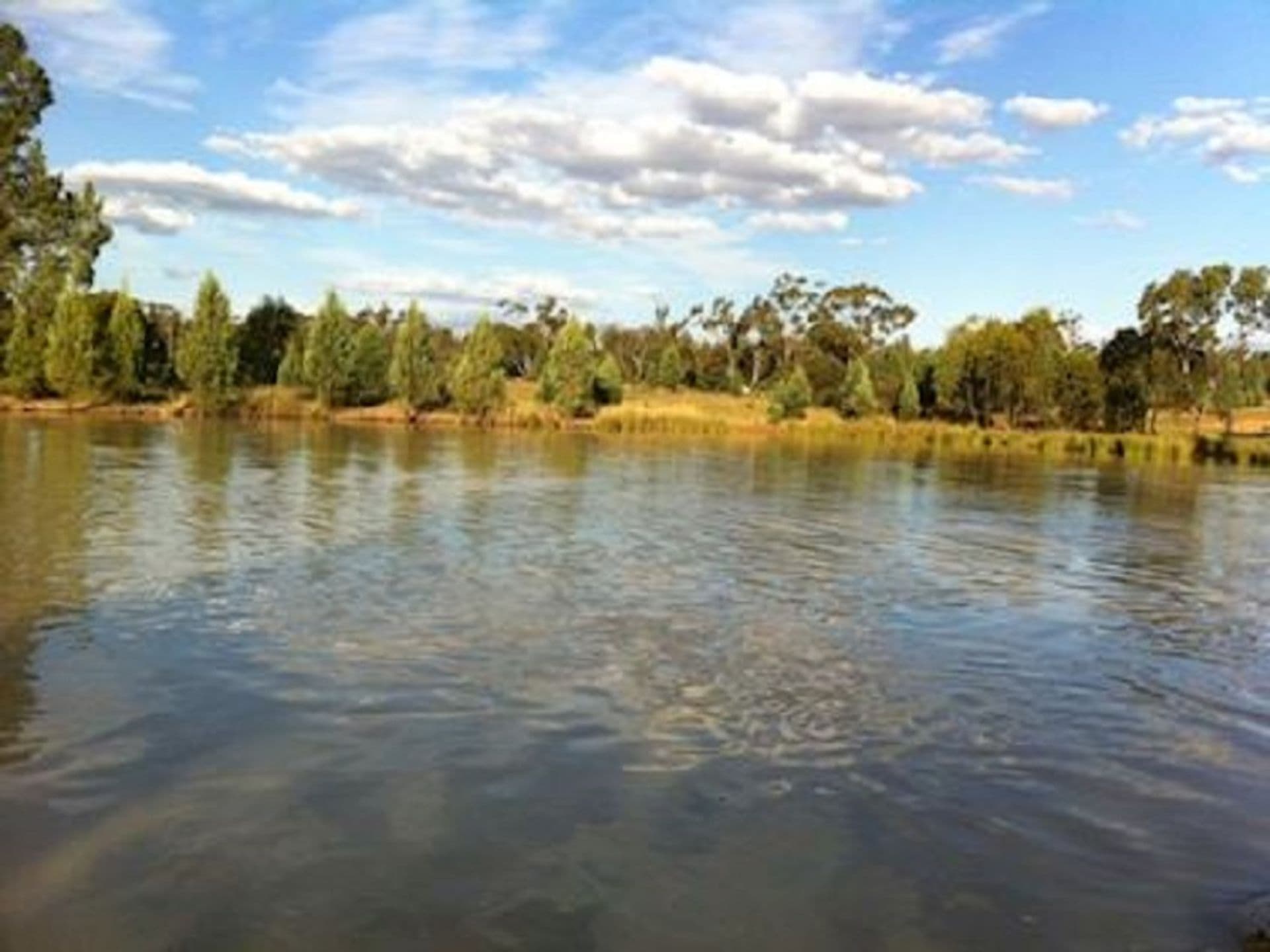 Address Withheld, Condobolin, NSW, 2877, Condobolin - Thumbnail 5