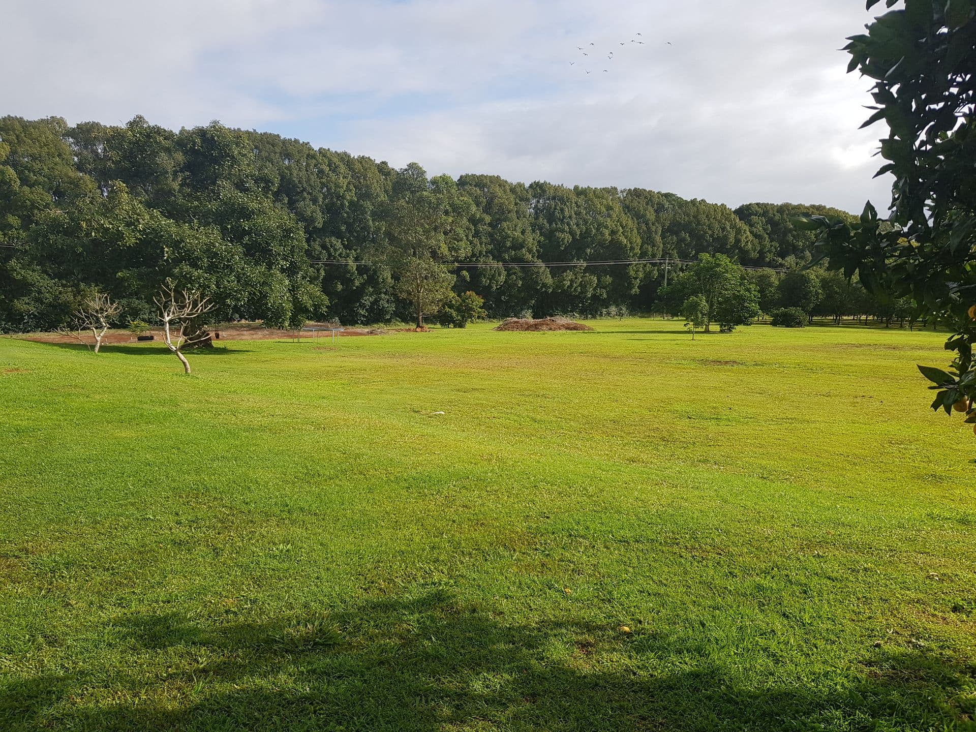 436 Ellis Road, Rous, NSW, 2477, Rous - Thumbnail 7