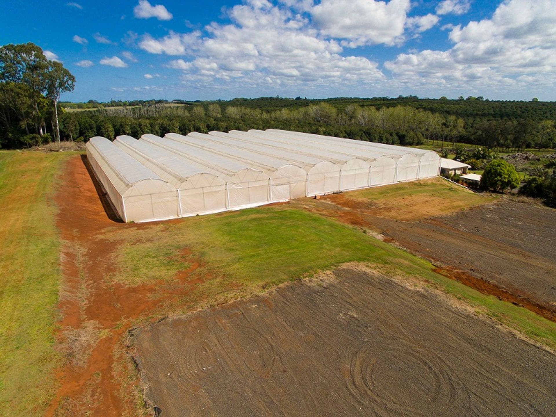 167 Rous Road, Alstonville, NSW, 2477, Rous - Thumbnail 3