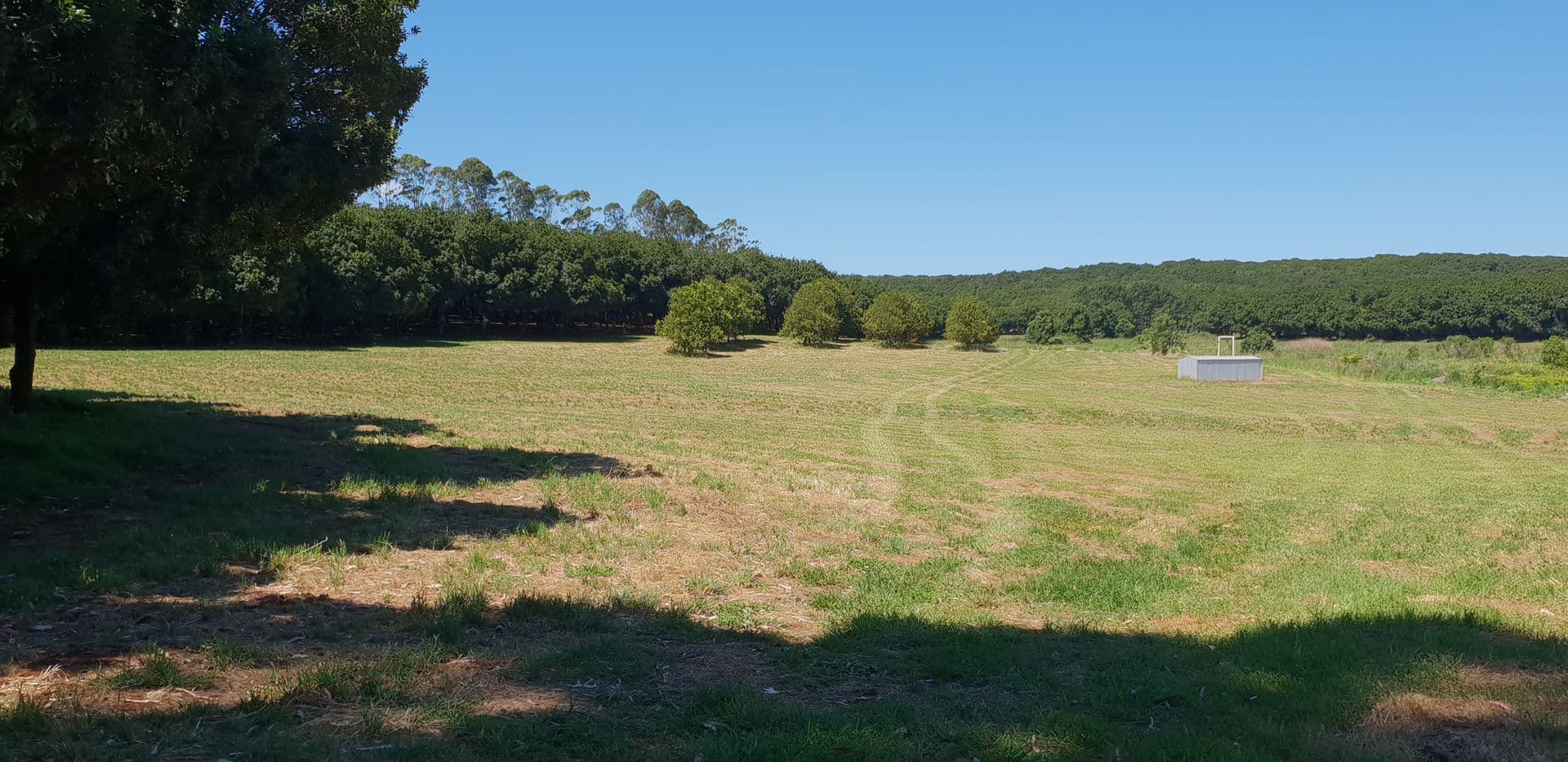 Address Withheld, Wollongbar, NSW, 2477, Wollongbar - Thumbnail 3