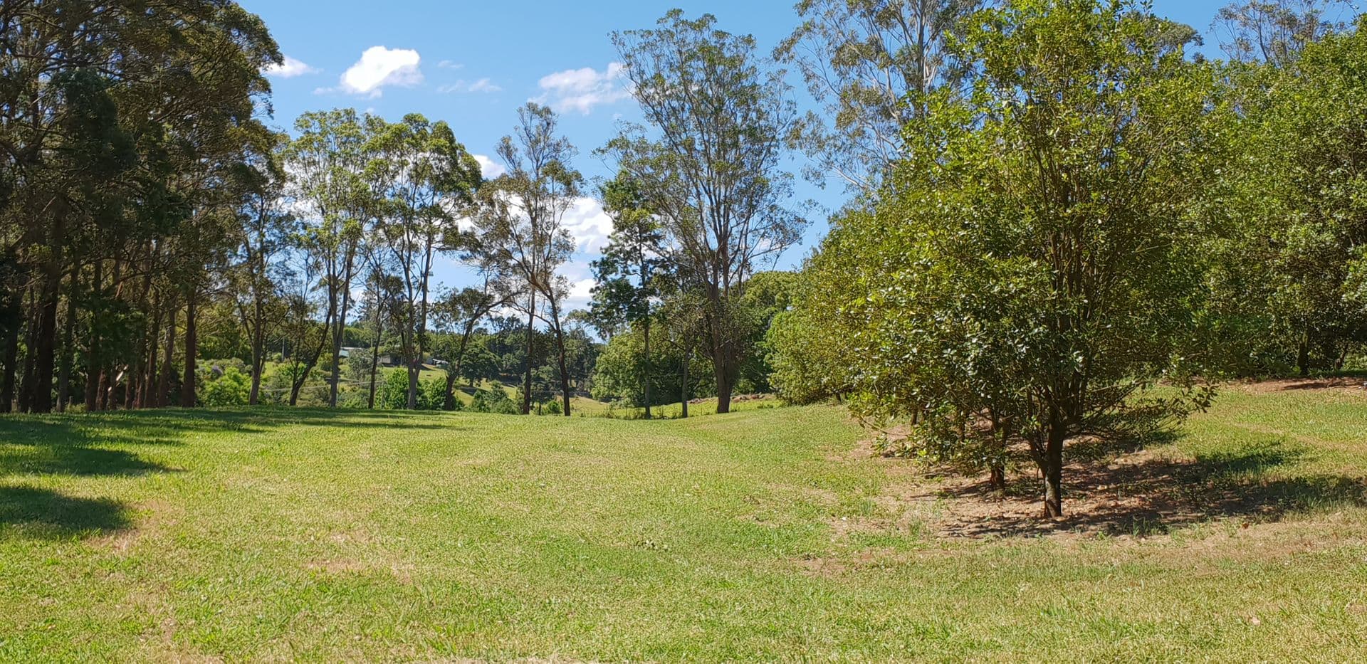 Address Withheld, Wollongbar, NSW, 2477, Wollongbar - Thumbnail 4